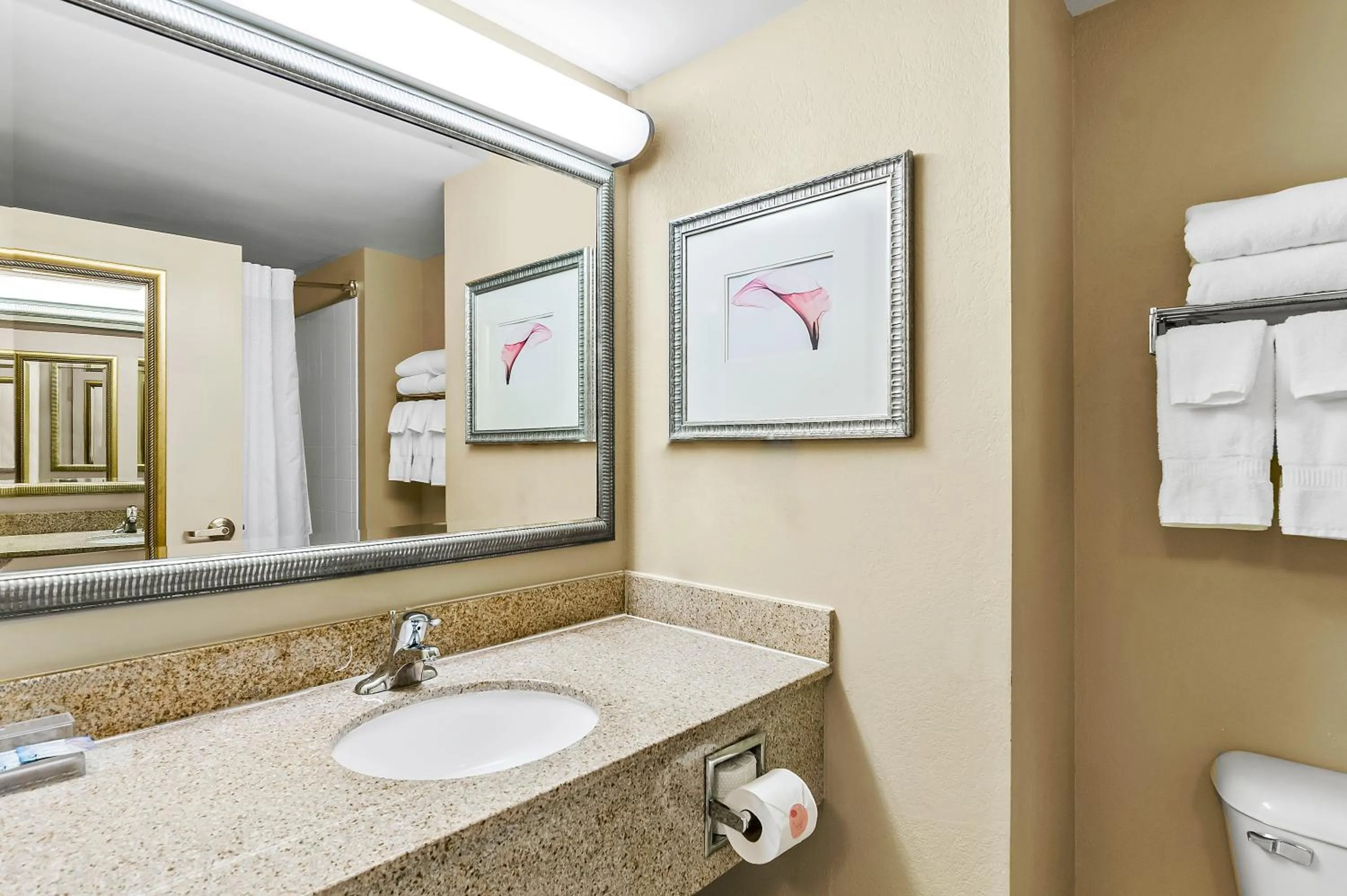 Bathroom in Country Inn & Suites by Radisson, Princeton, WV