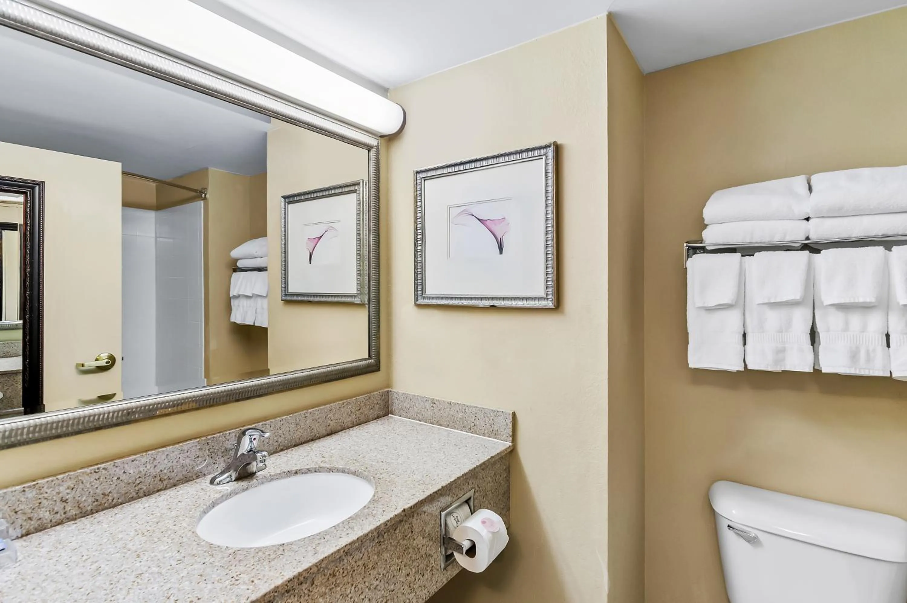 Bathroom in Country Inn & Suites by Radisson, Princeton, WV