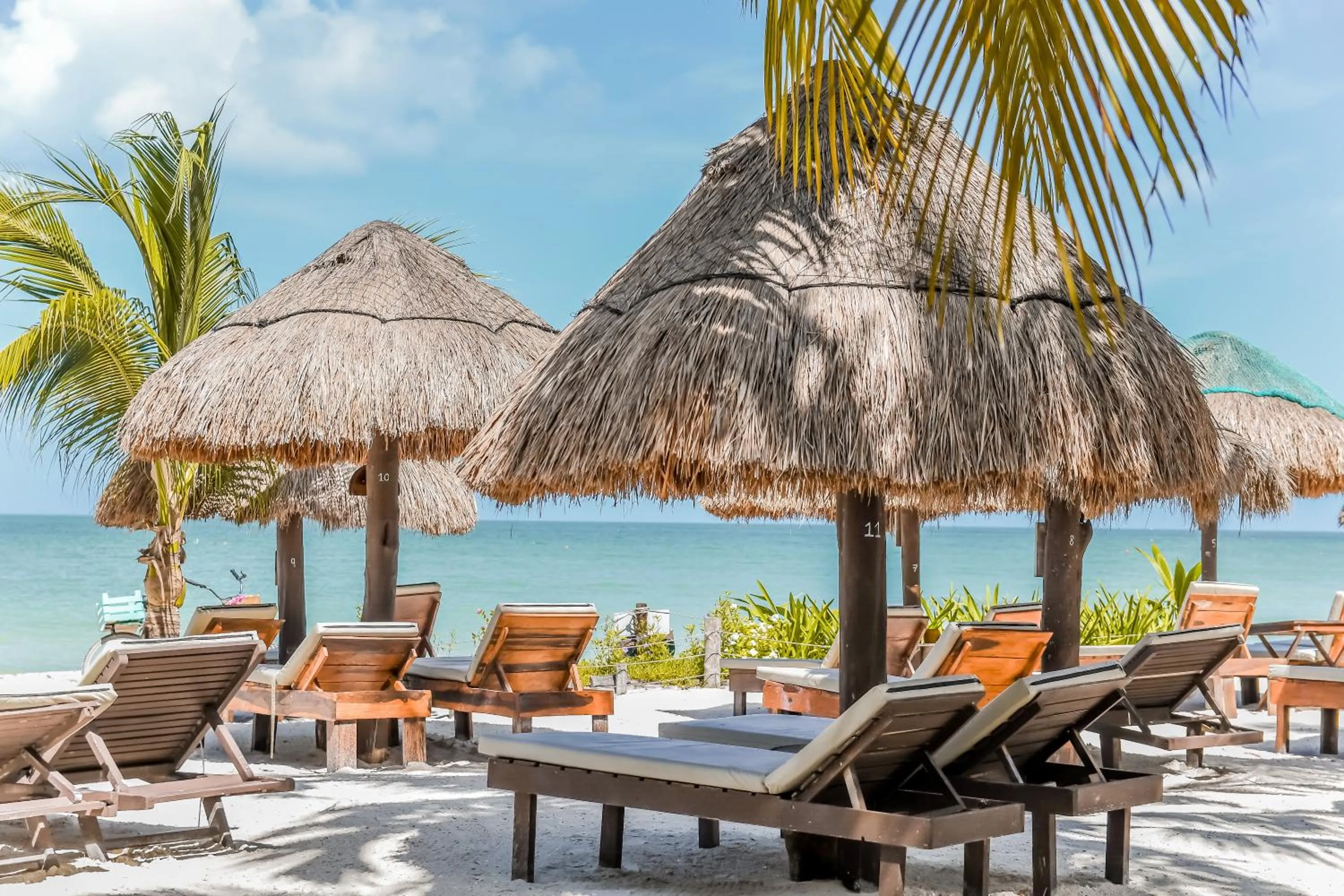 Beach in Zomay Beachfront Holbox