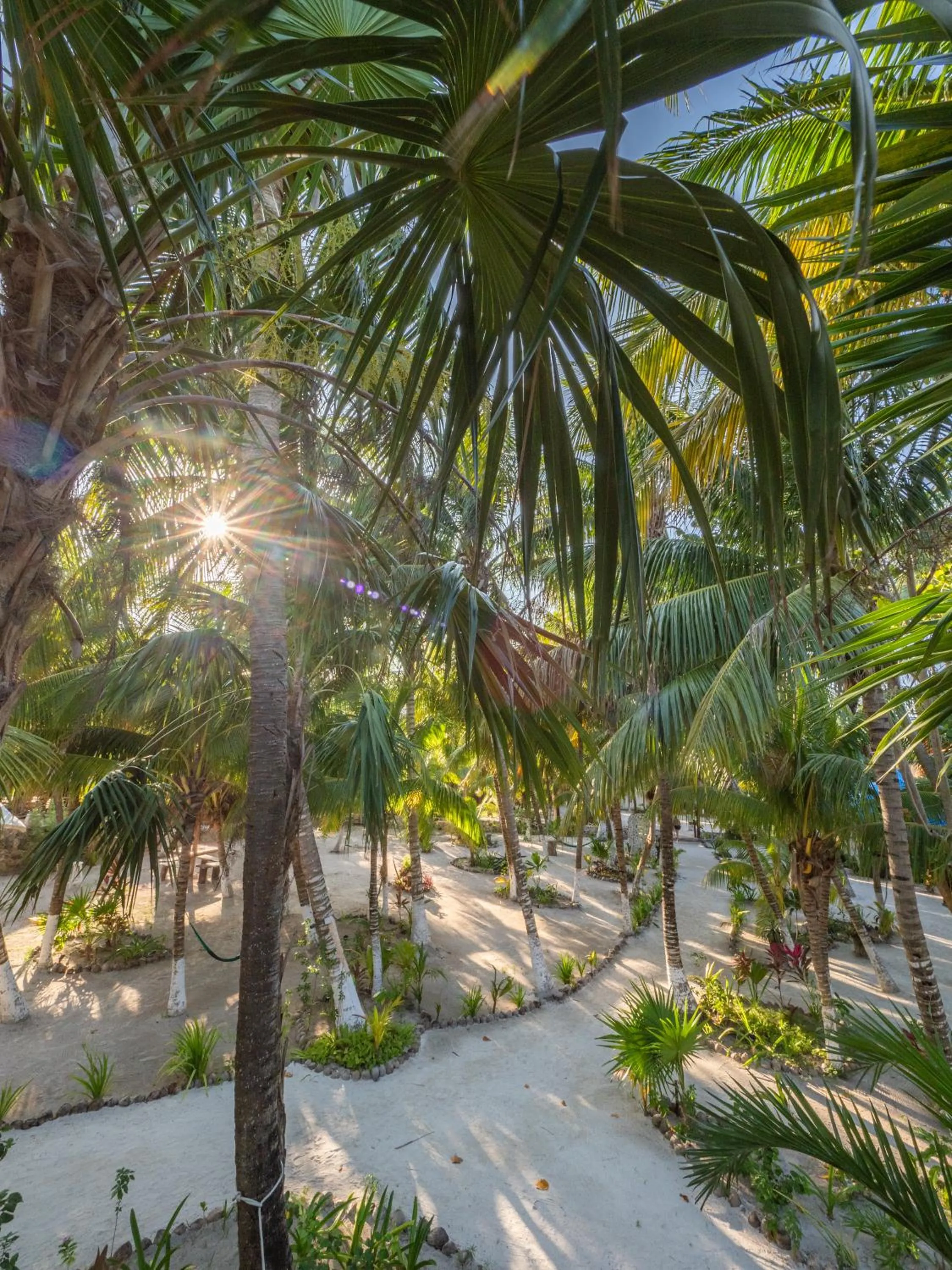 Garden view in Zomay Beachfront Holbox