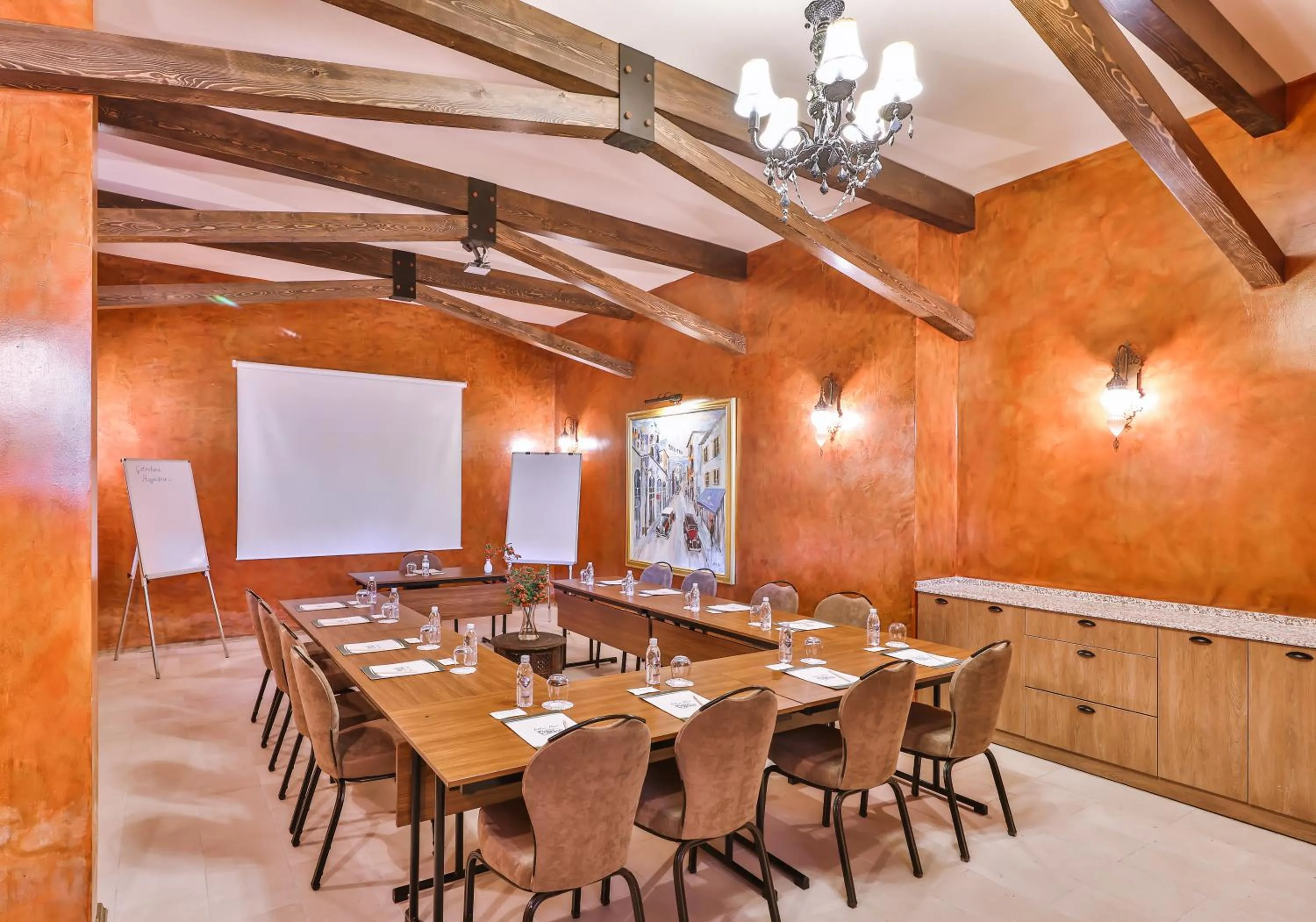 Meeting/conference room in Çetmihan Hotel