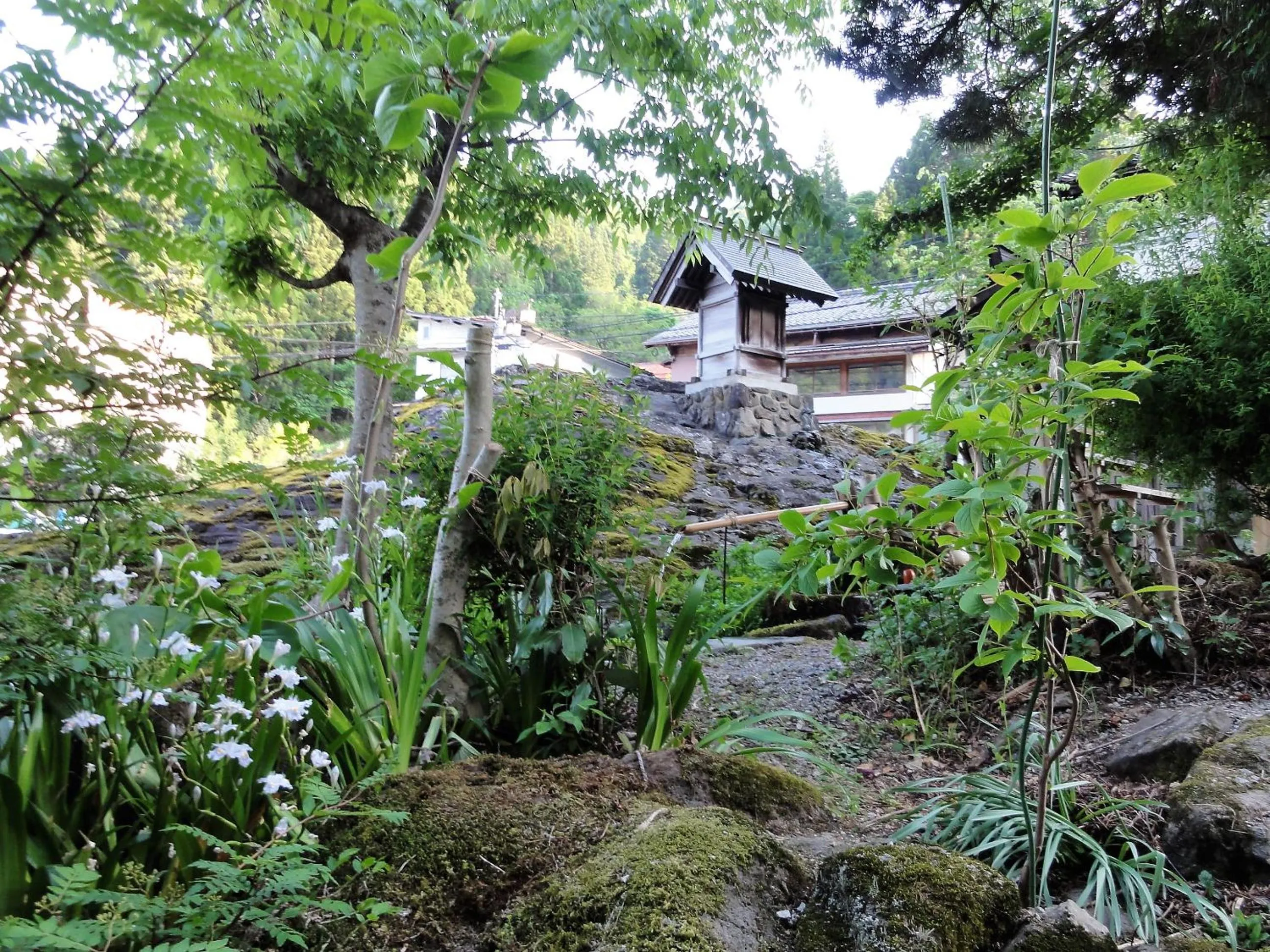 Garden view in Yonagoya