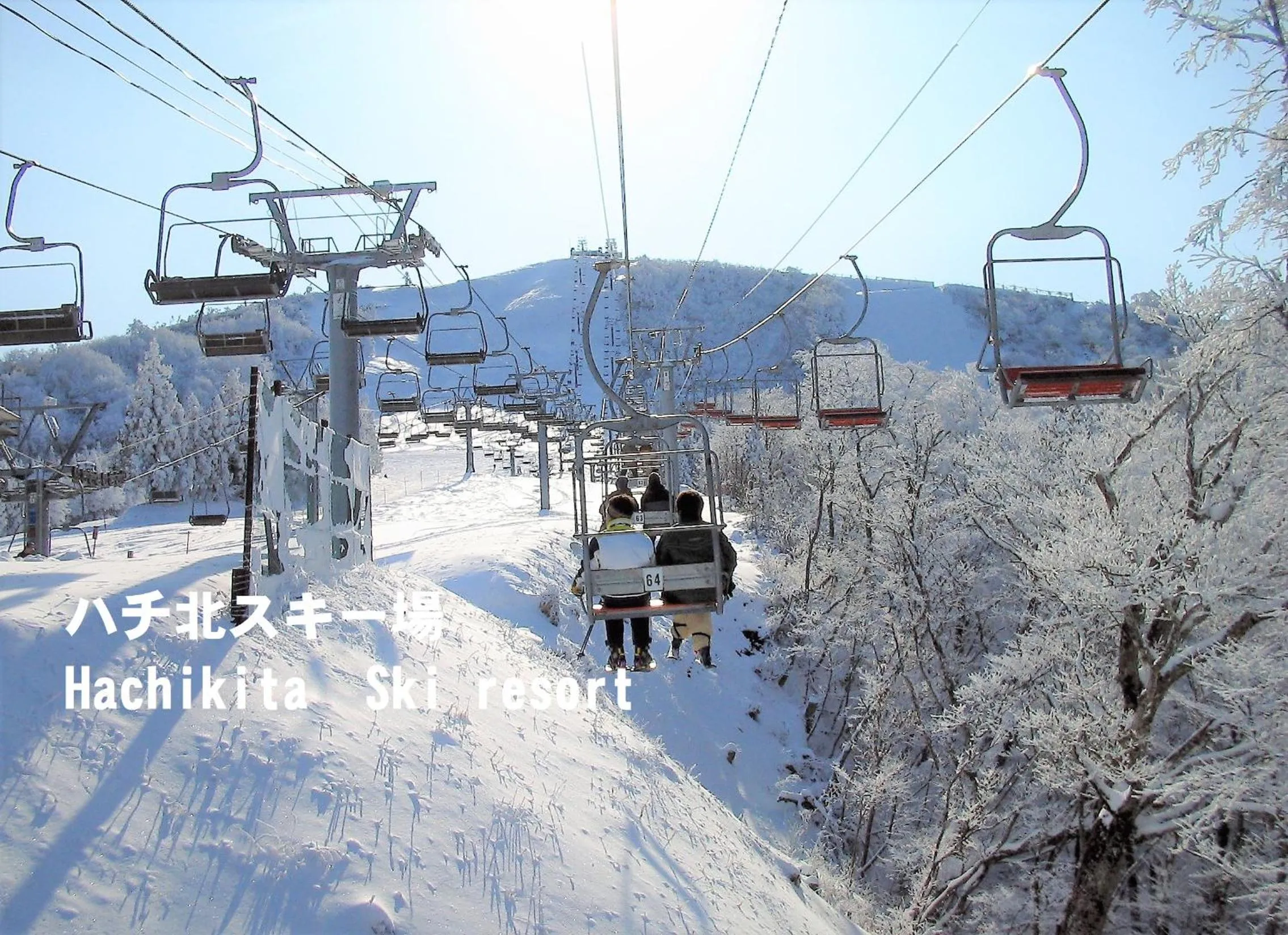 Skiing in Yonagoya