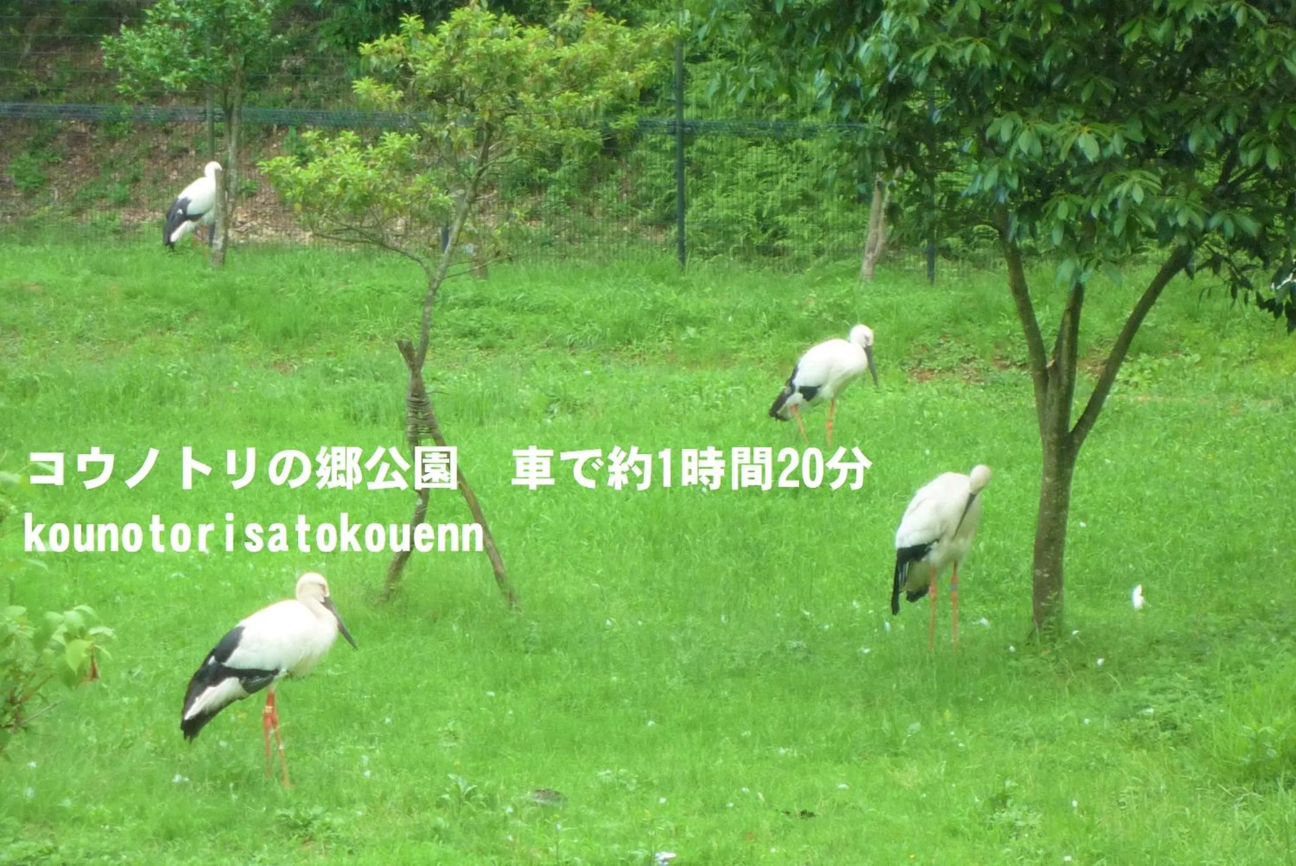 Nearby landmark in Yonagoya