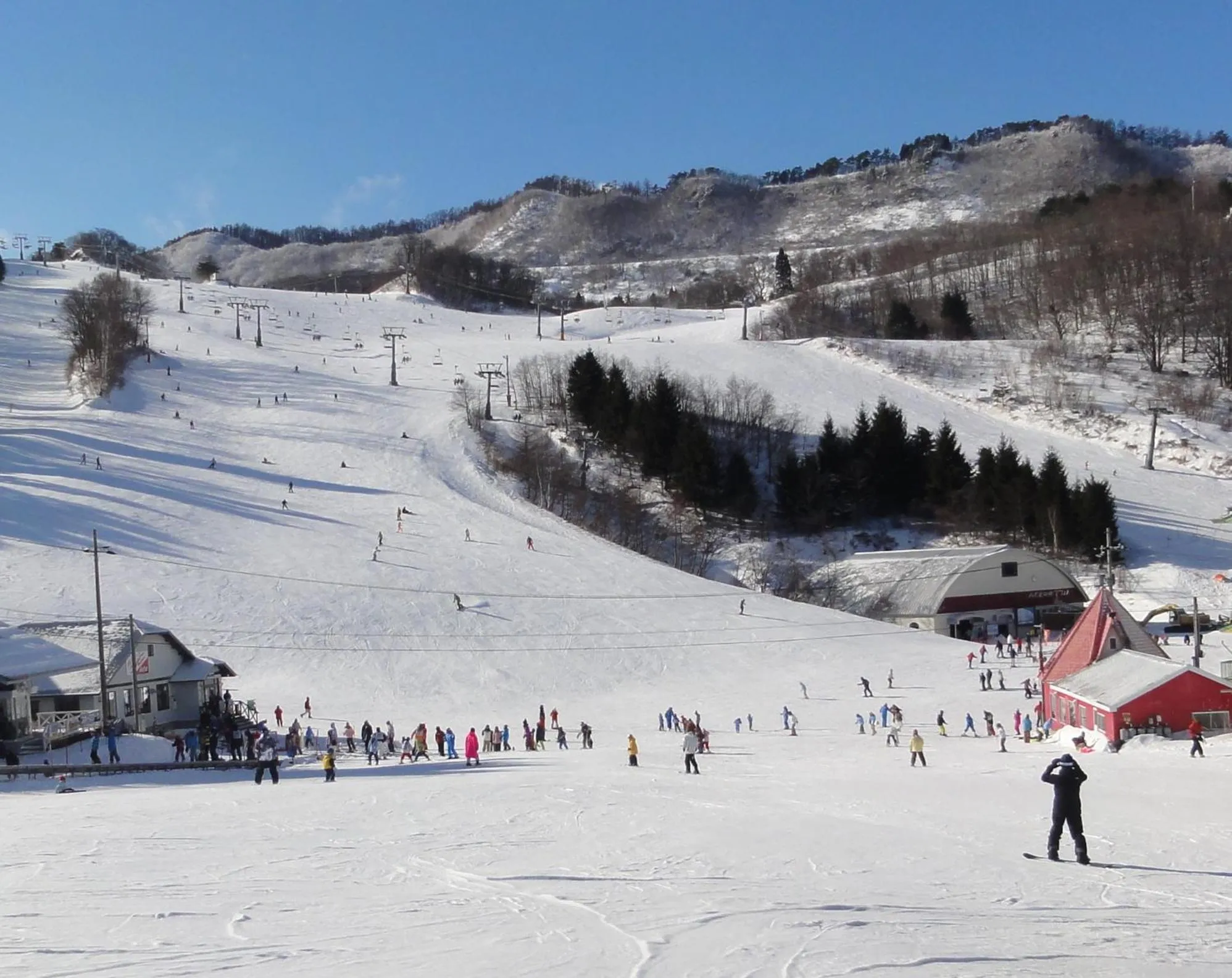 Skiing in Yonagoya
