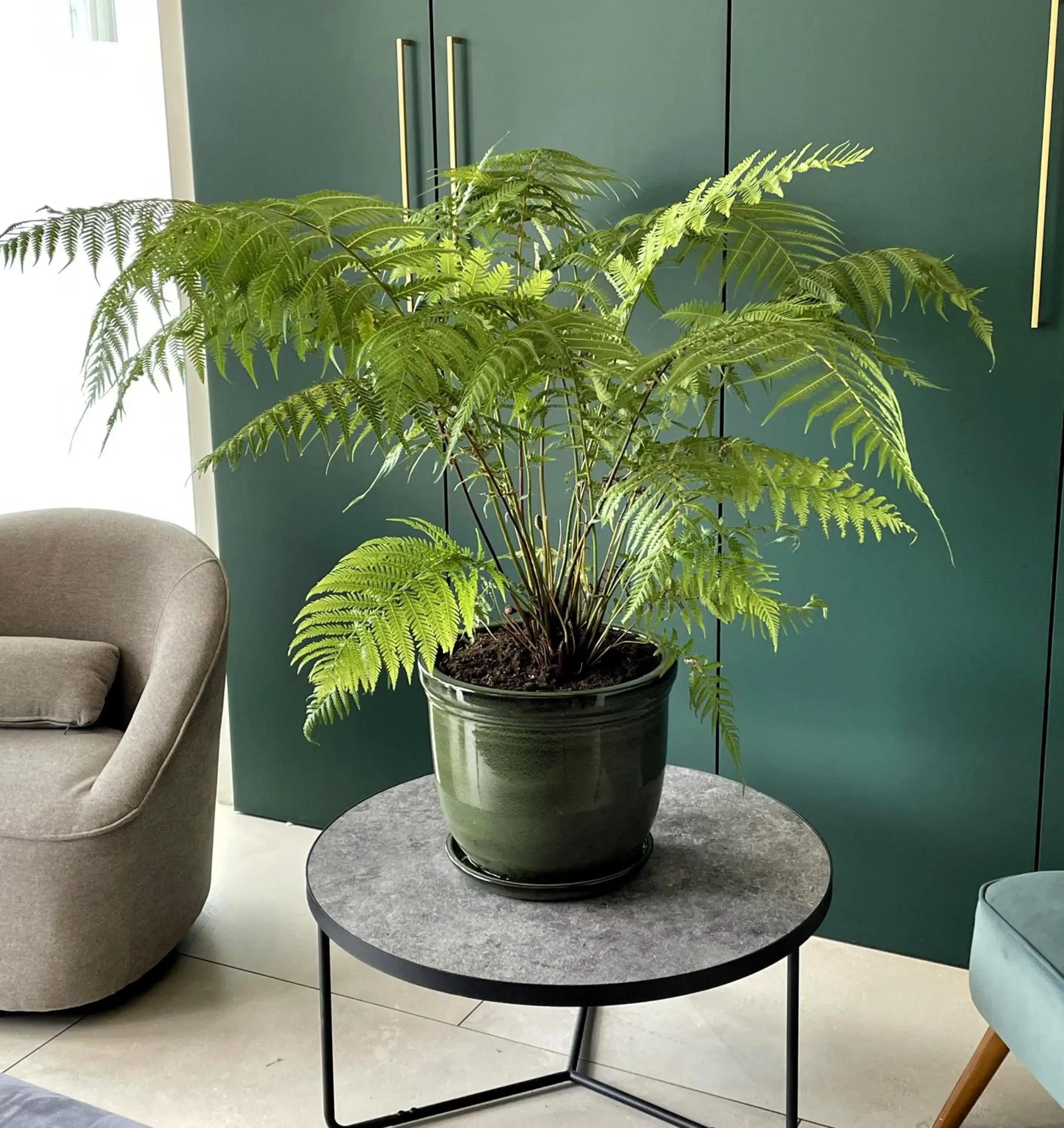 Lobby or reception in Best Western Blois Château Lobby or reception in Best Western Blois Château