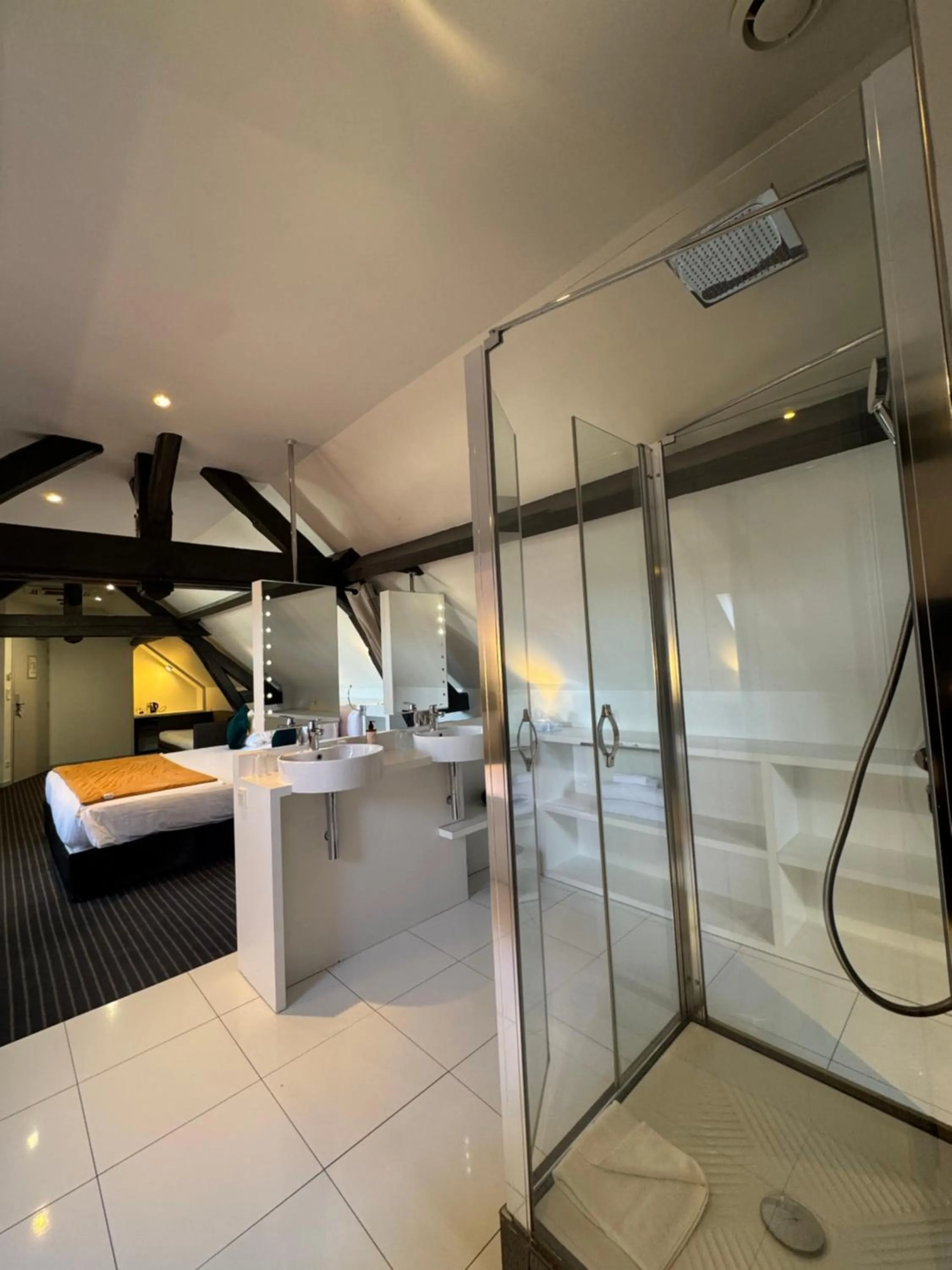 Shower in Best Western Blois Château