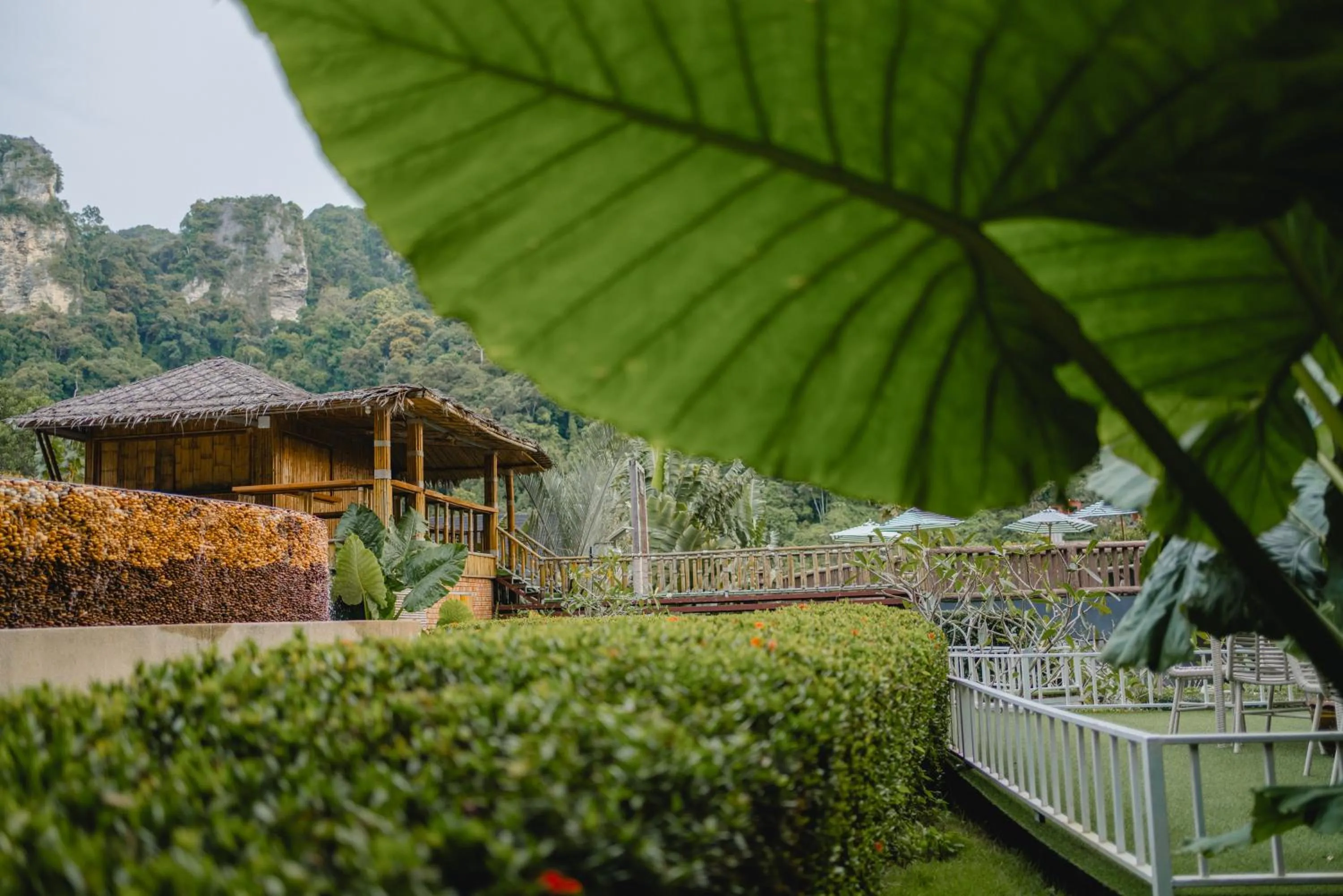 Natural landscape in Railay Phutawan Resort