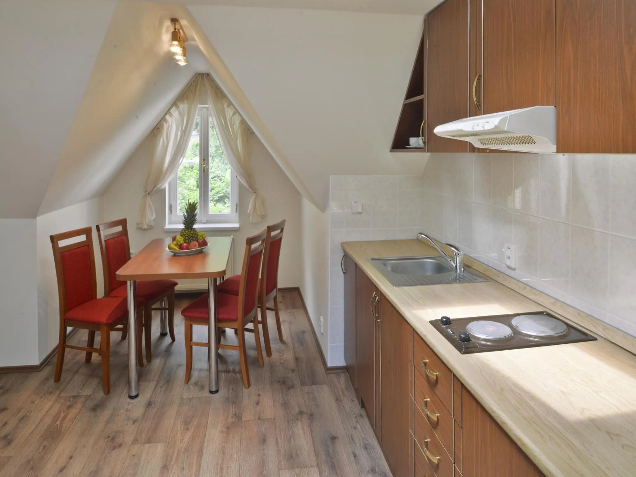 Kitchen or kitchenette in EA Hotel Elefant