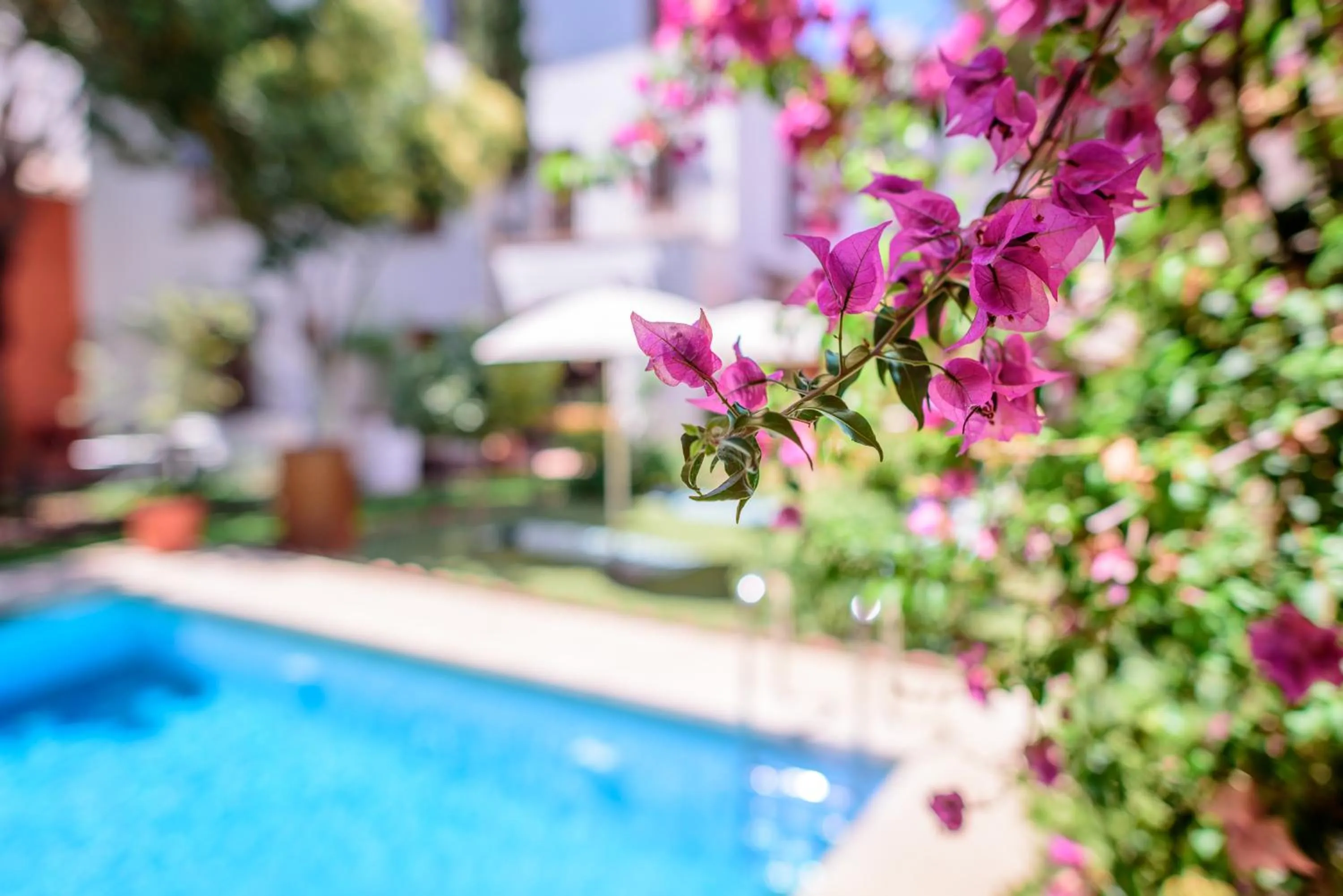 Swimming pool in Alojamiento con Encanto la Luna en el Alba