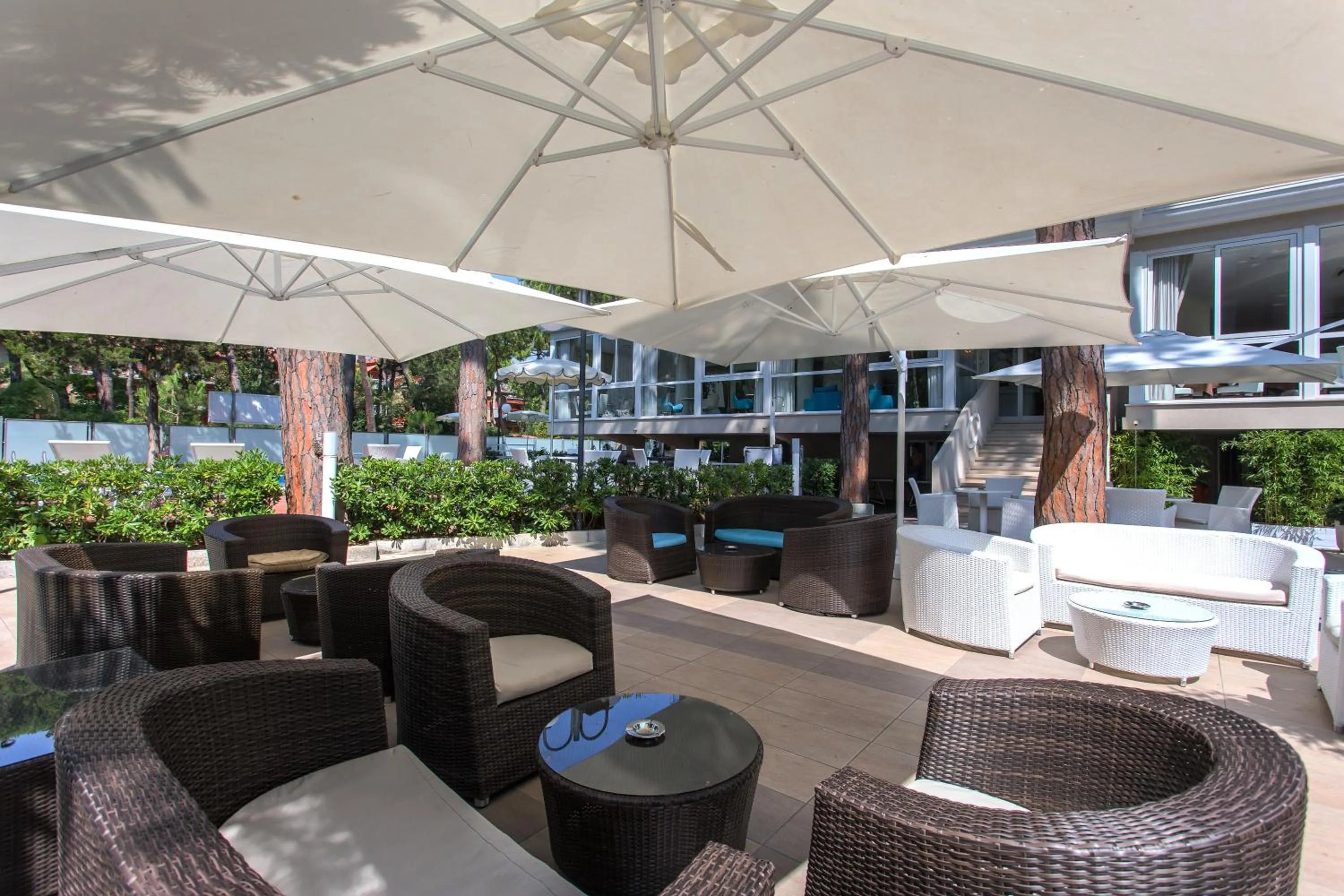 Garden in Hotel San Marco