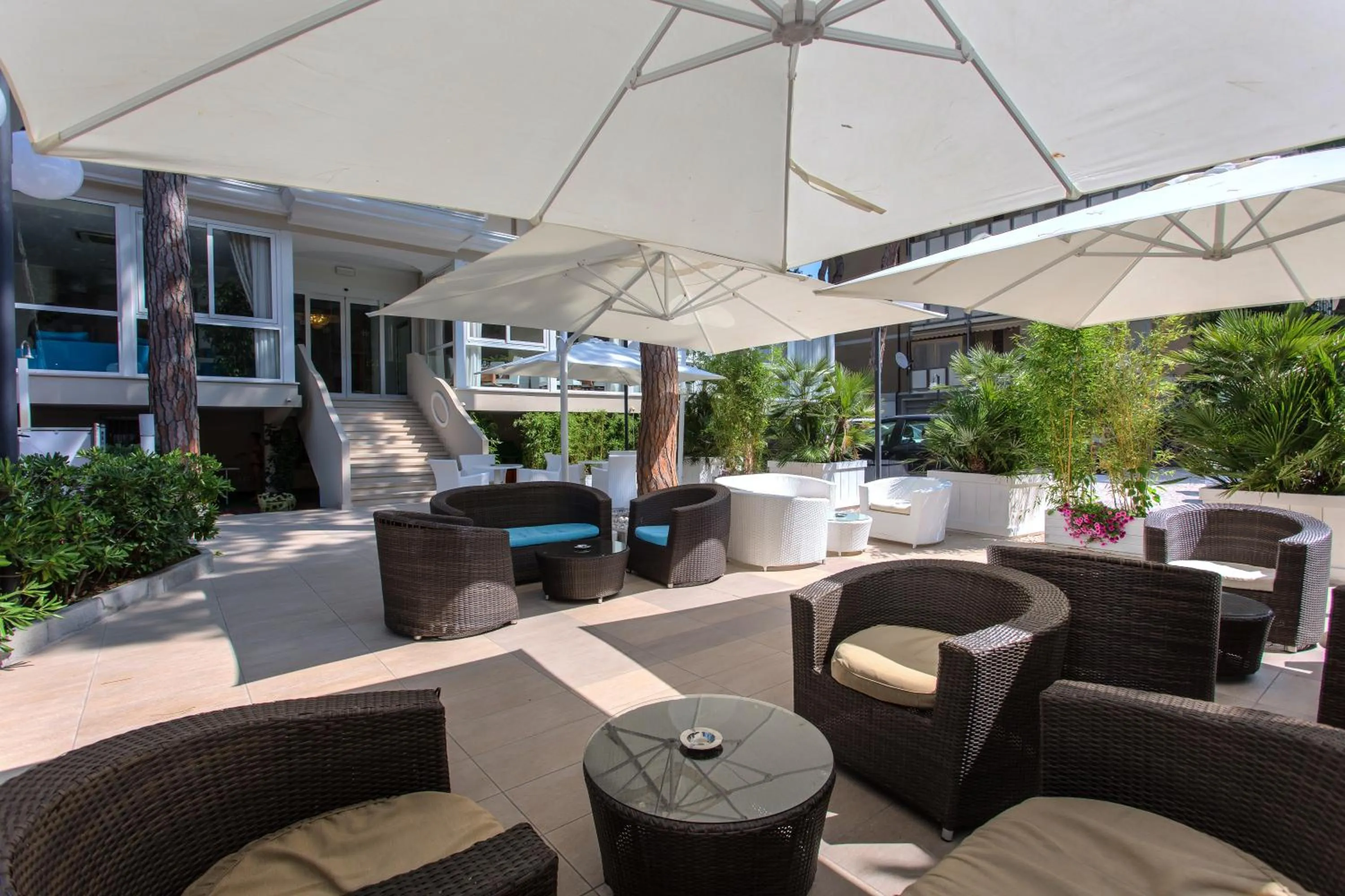 Garden in Hotel San Marco