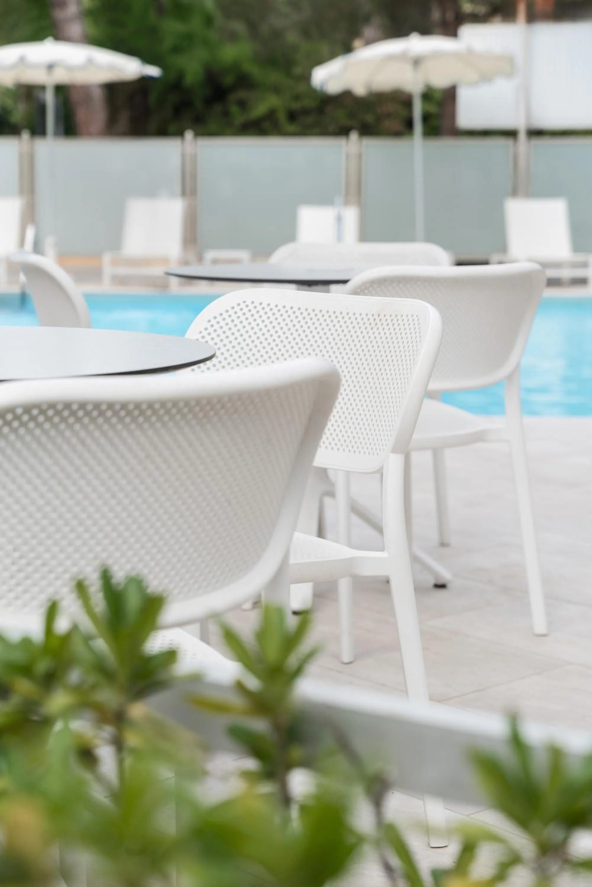 Garden in Hotel San Marco