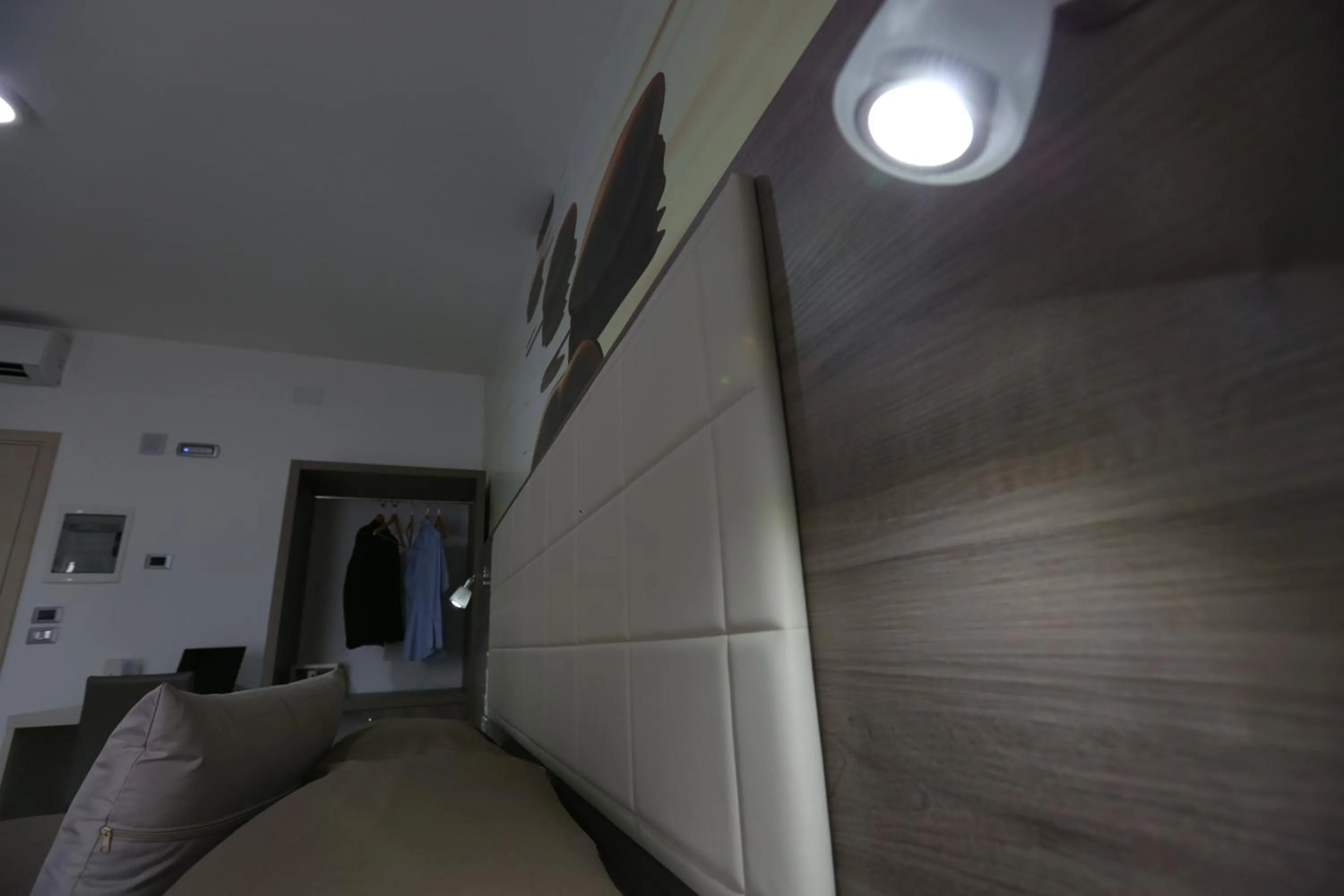 Photo of the whole room in Medea Resort