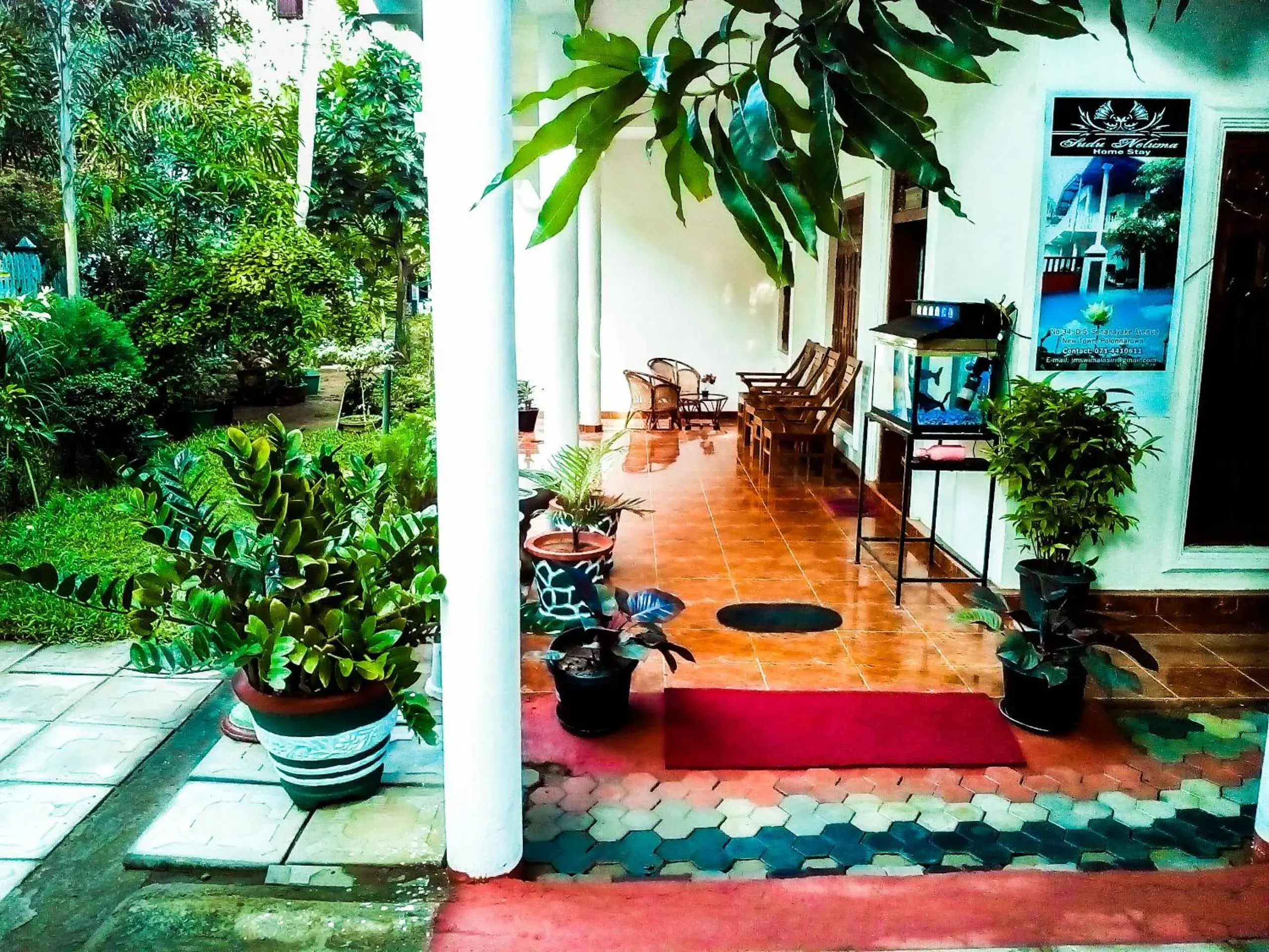 Sudu Neluma Home Stay Sudu Neluma Home Stay