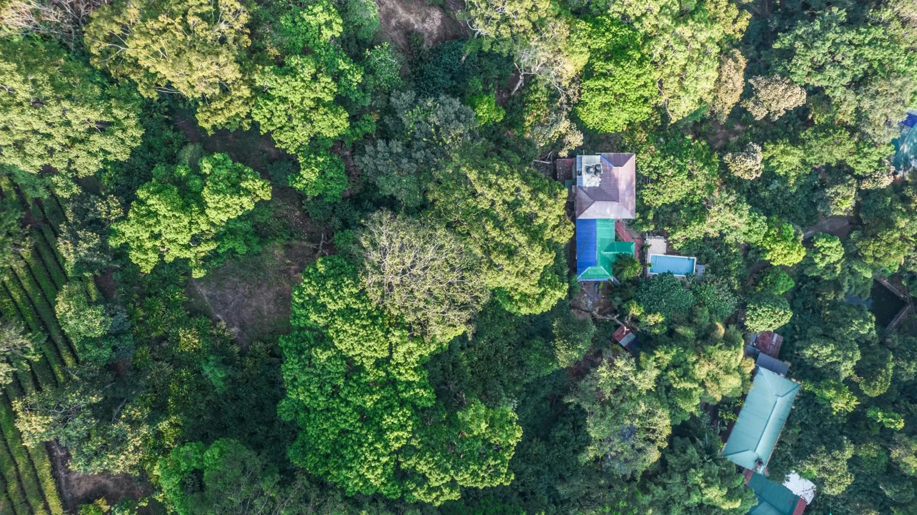 Property building in Spice Jungle Resort