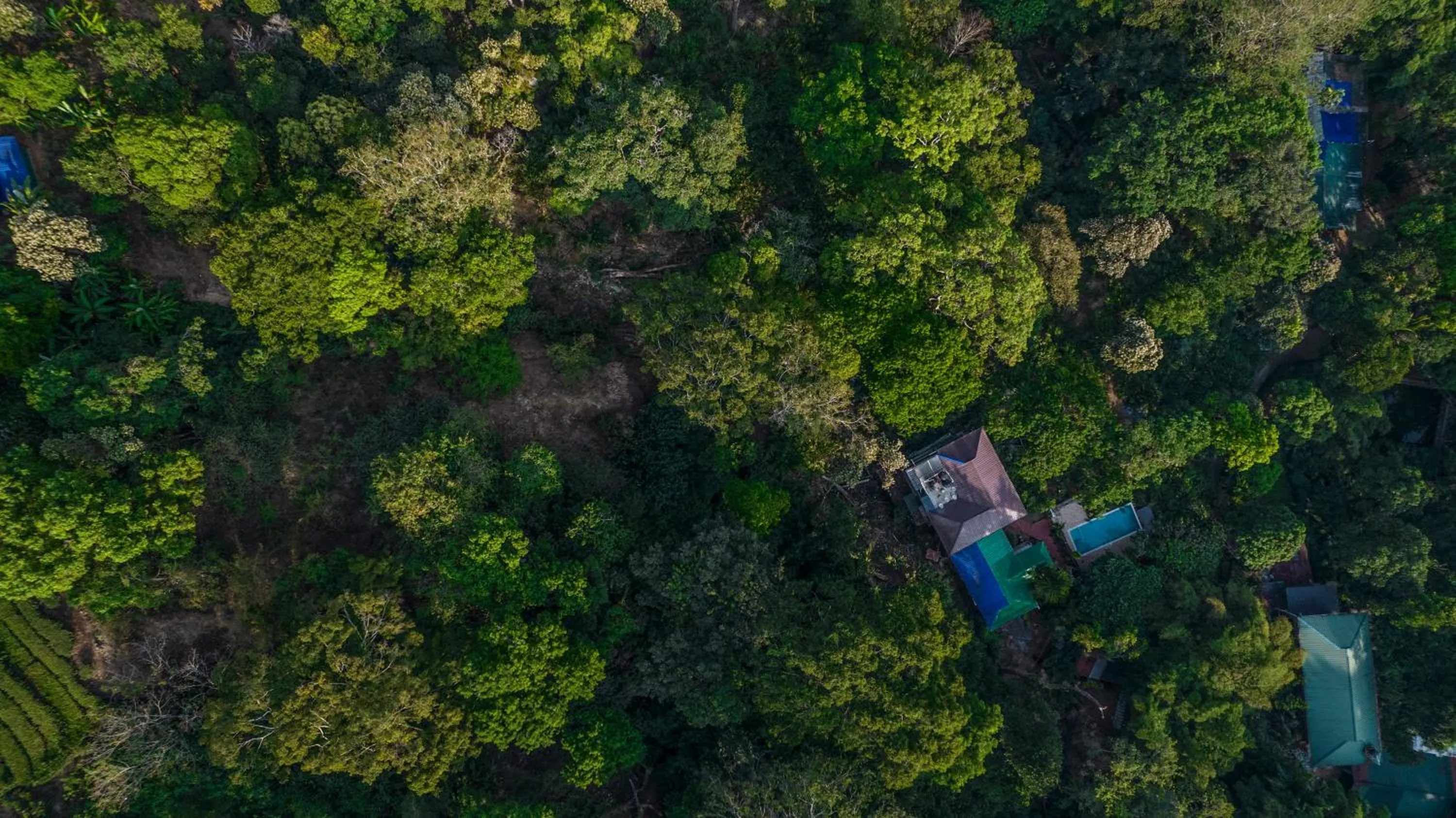 Property building in Spice Jungle Resort