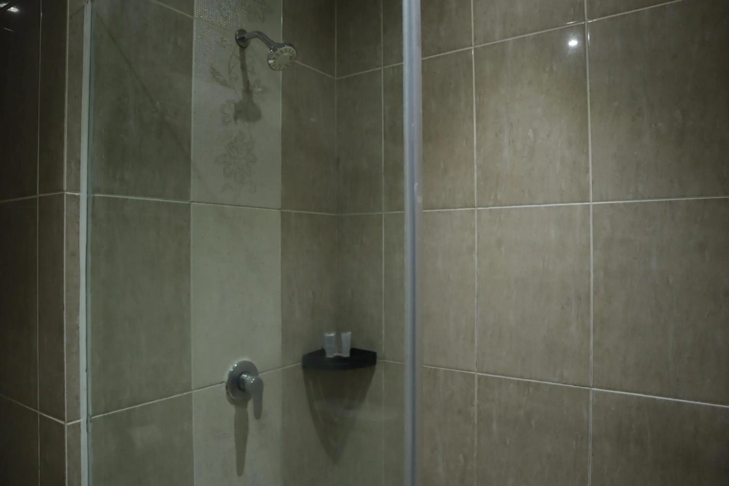 Hotel Dafam Semarang