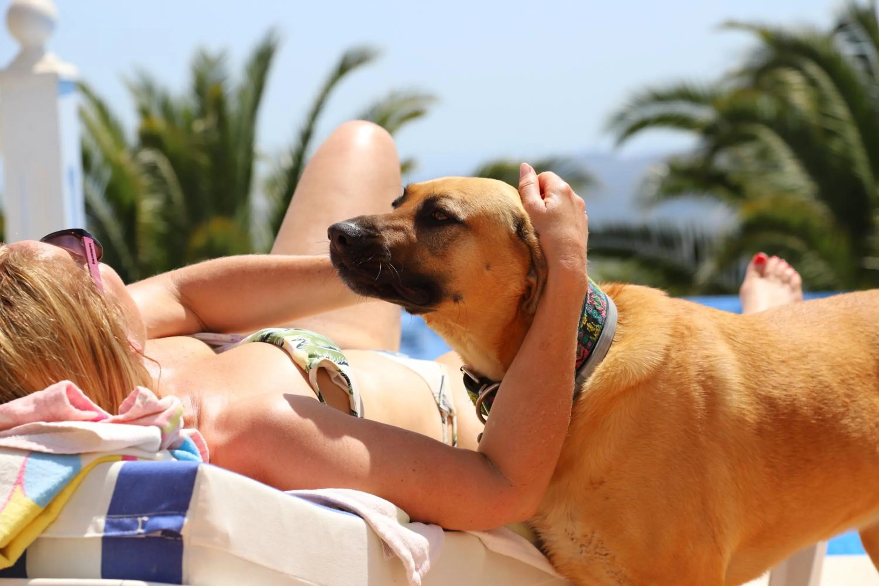 Pets in Villa Mañana