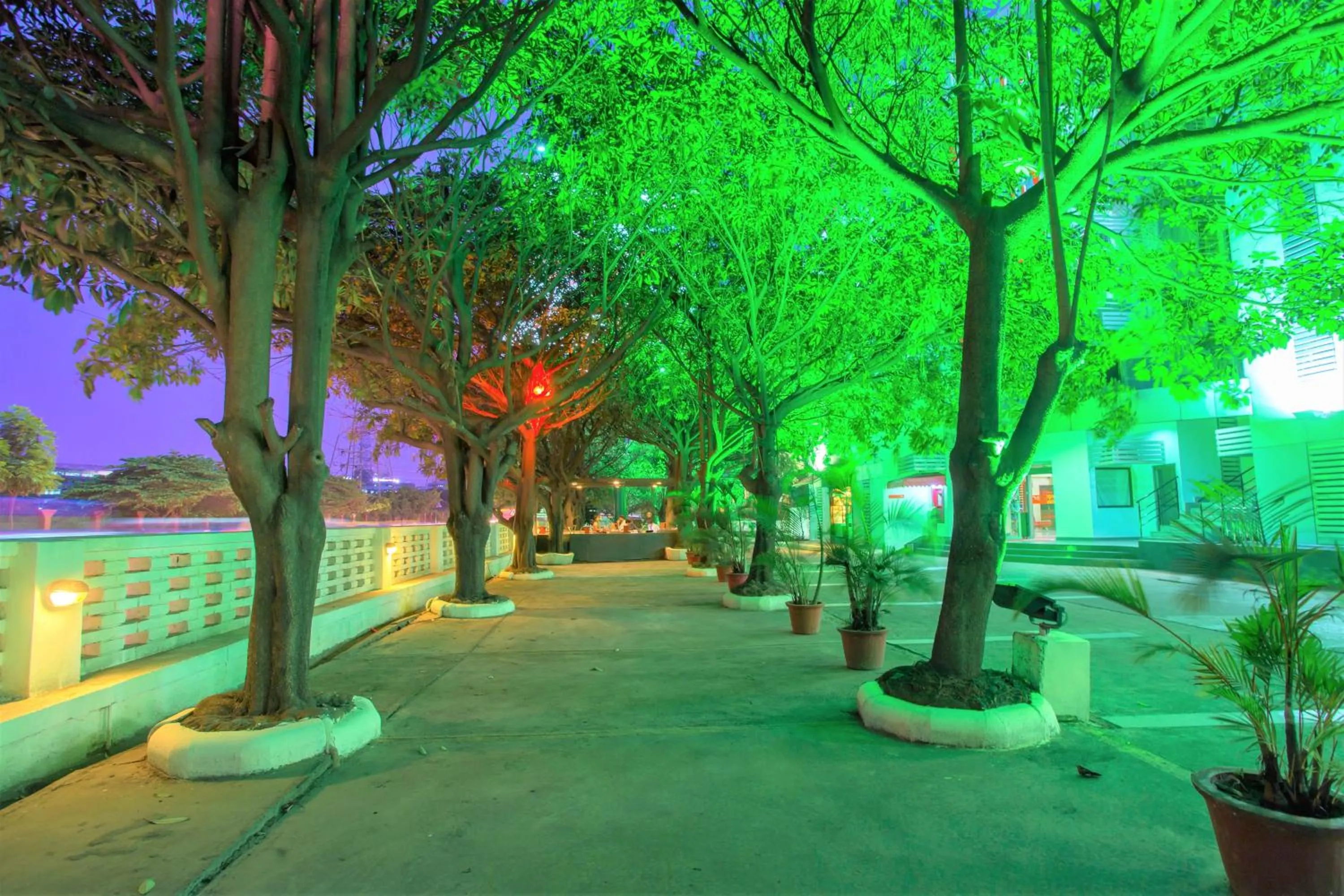 Garden in Ginger Bangalore- Whitefield