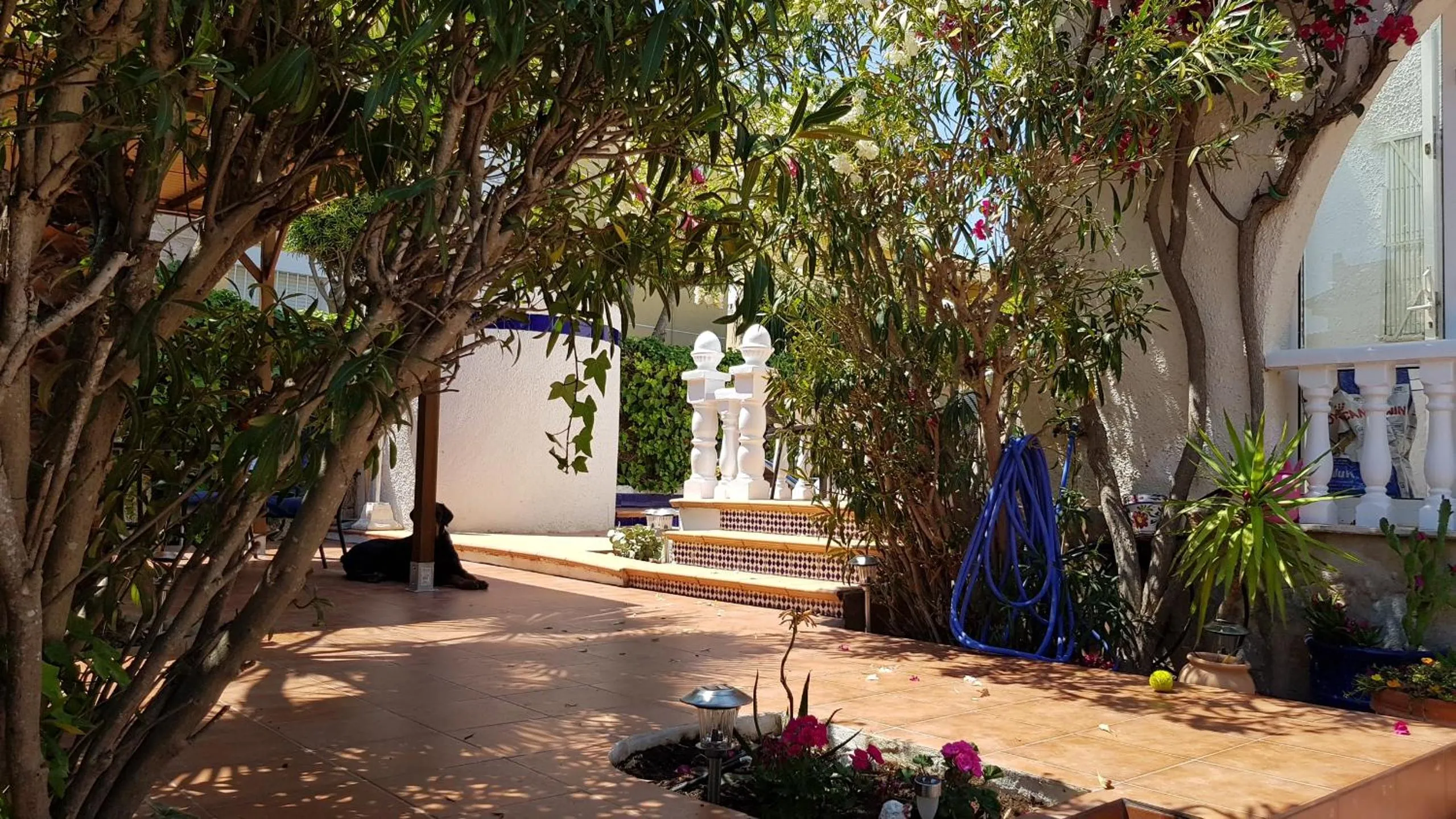 Garden in Willa Tres Suertes