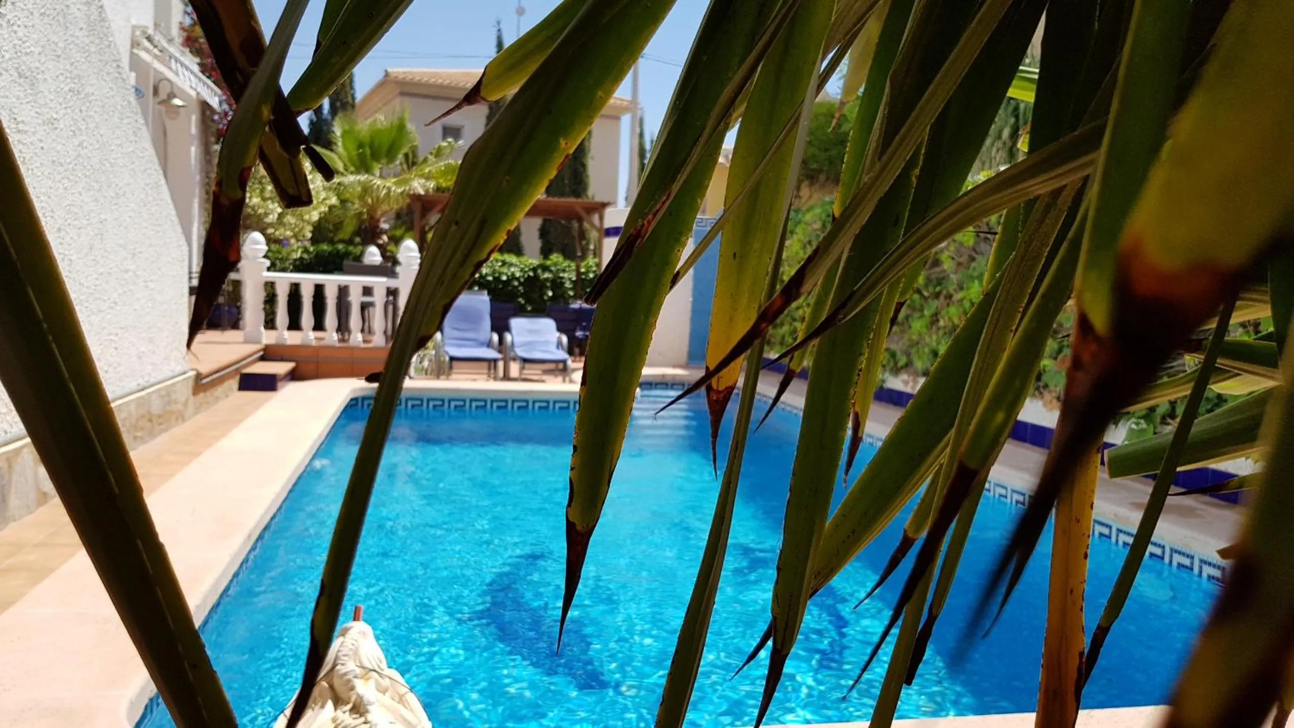 Swimming pool in Willa Tres Suertes