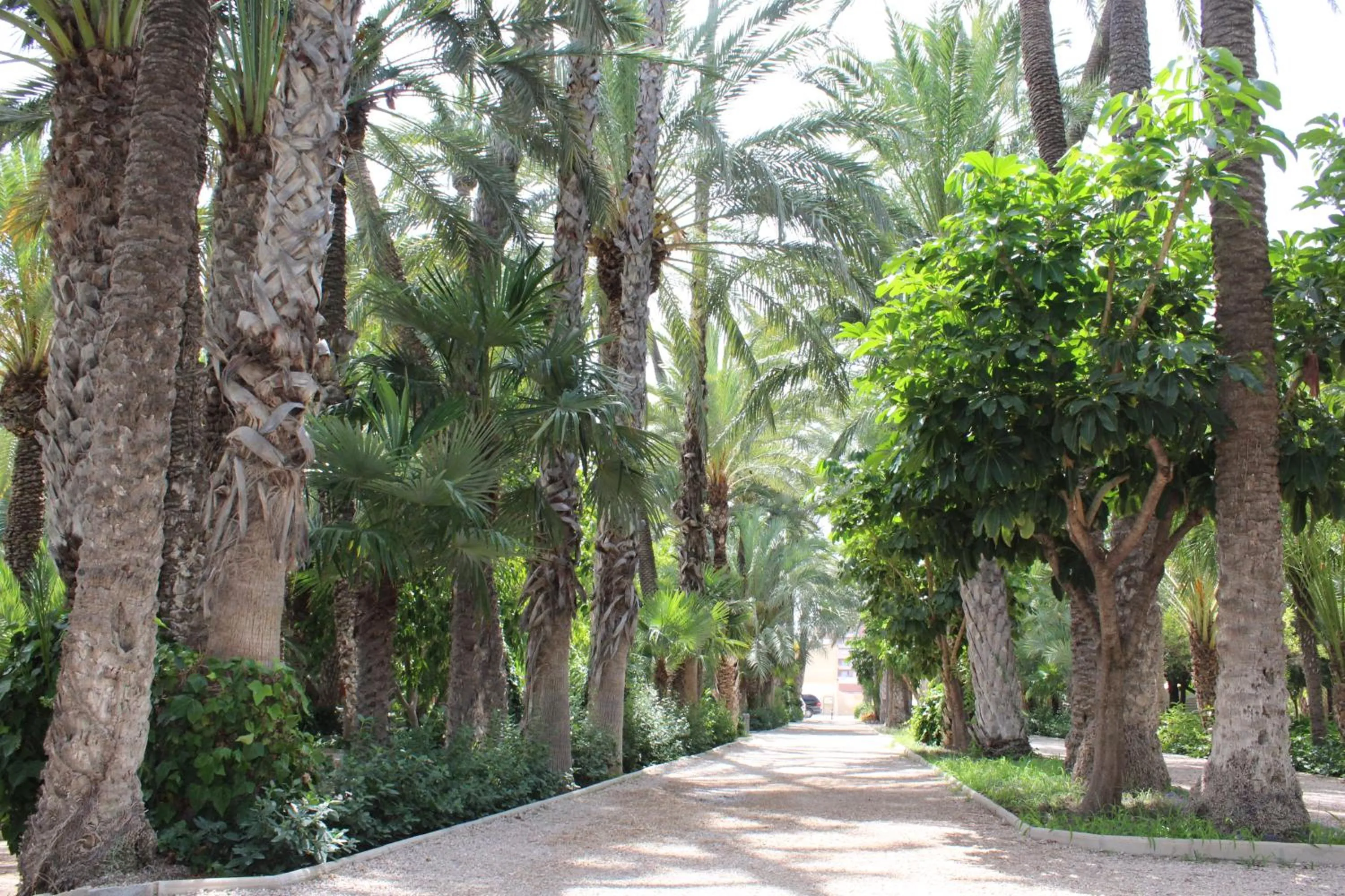 Activities in Willa Tres Suertes