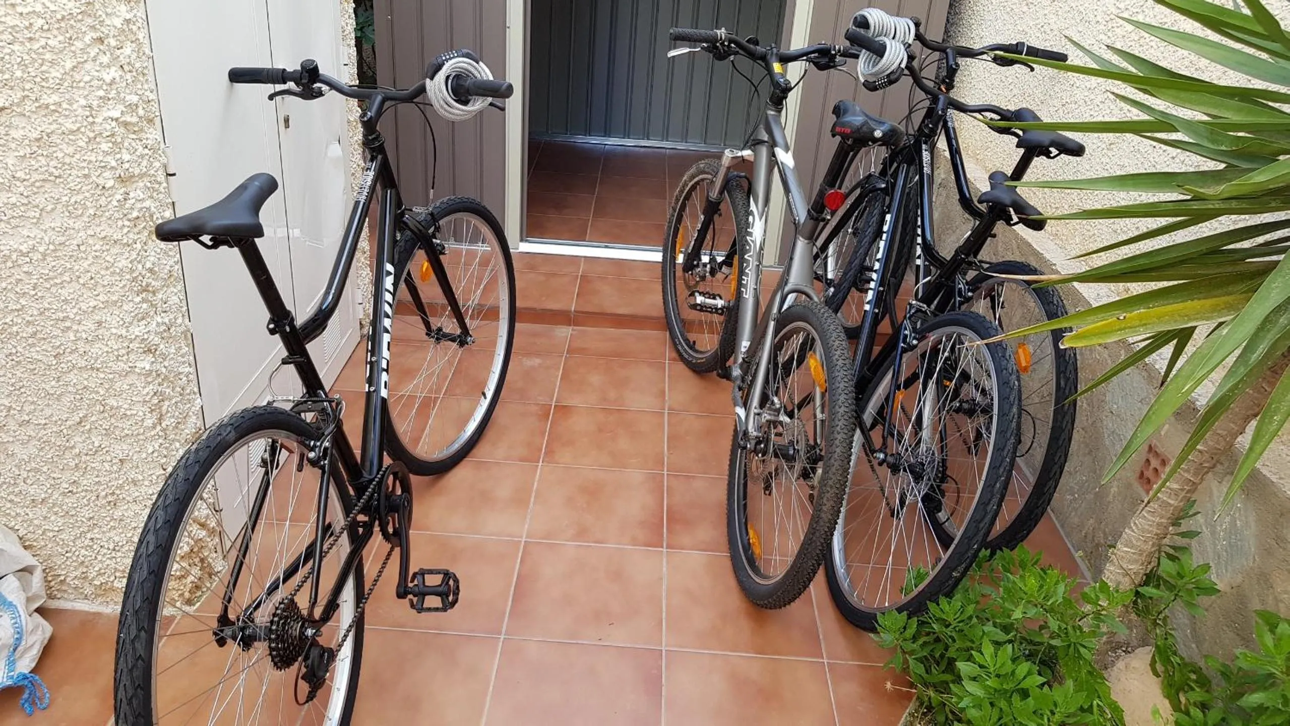 Cycling in Willa Tres Suertes