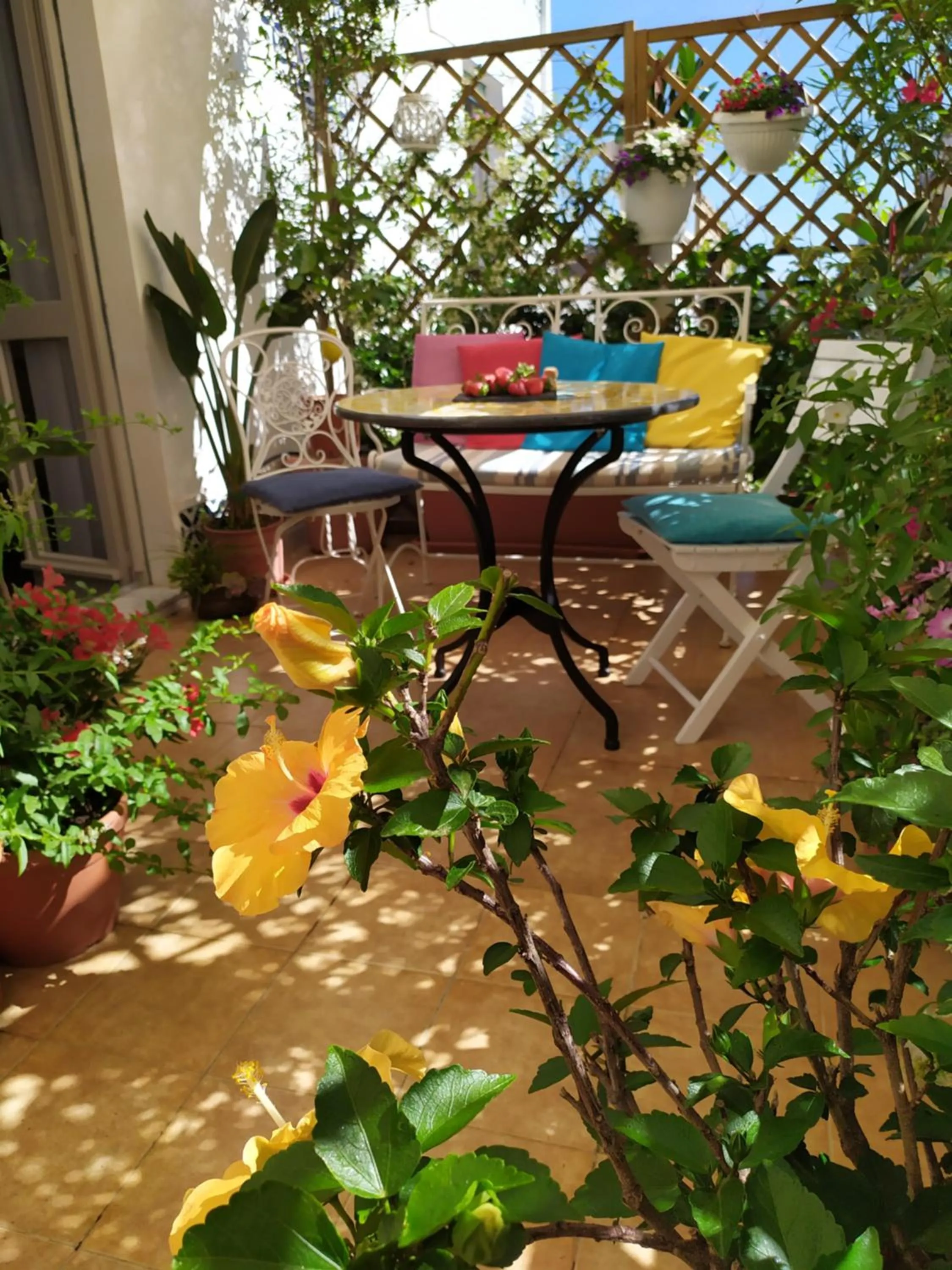 Balcony/Terrace in Alghero Roof Garden