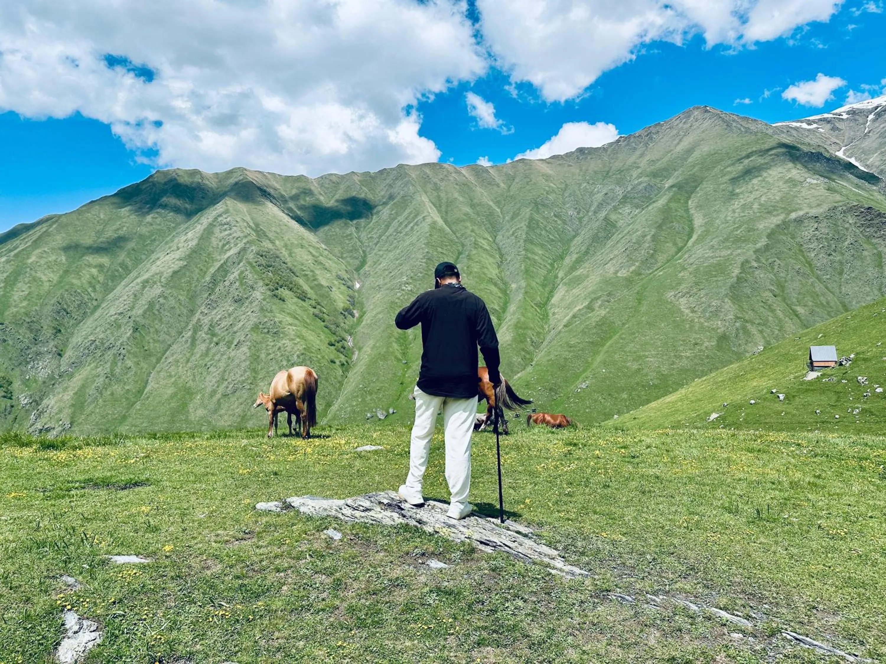 Guest House Elguja Qushashvili