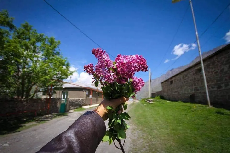 Guest House Elguja Qushashvili