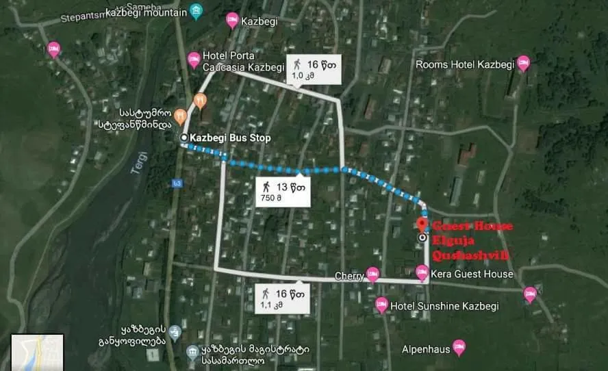 Guest House Elguja Qushashvili