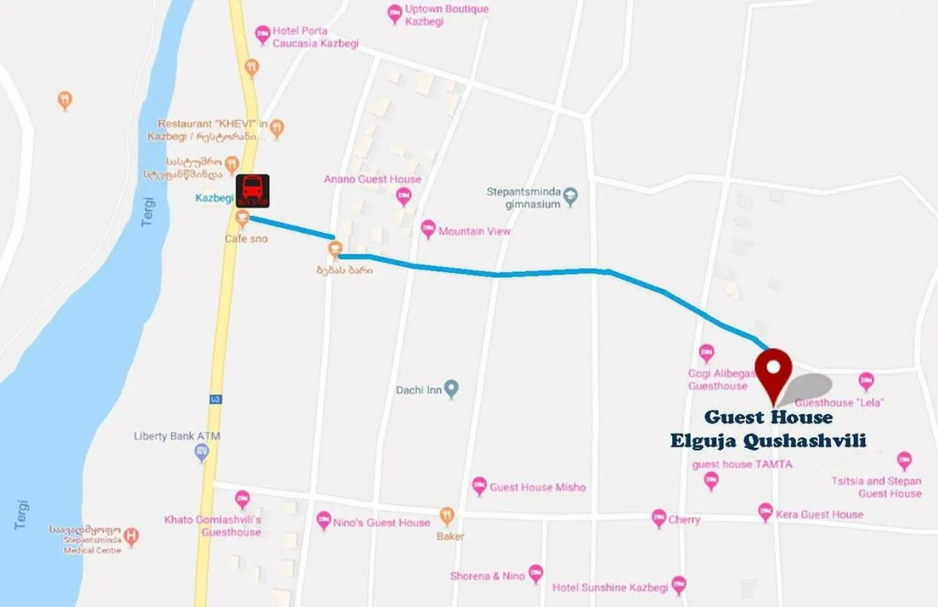 Guest House Elguja Qushashvili