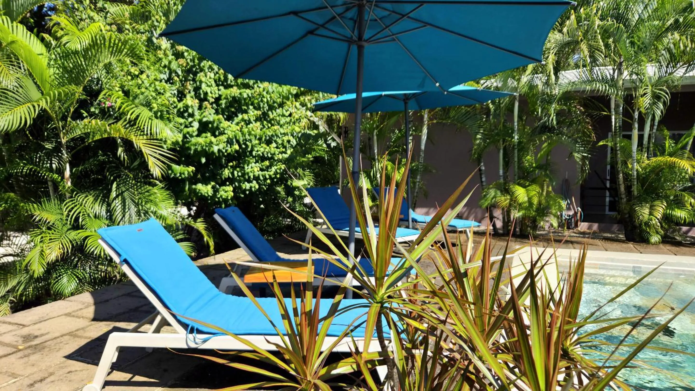 Pool view in Tee-K Lodge Tamarindo