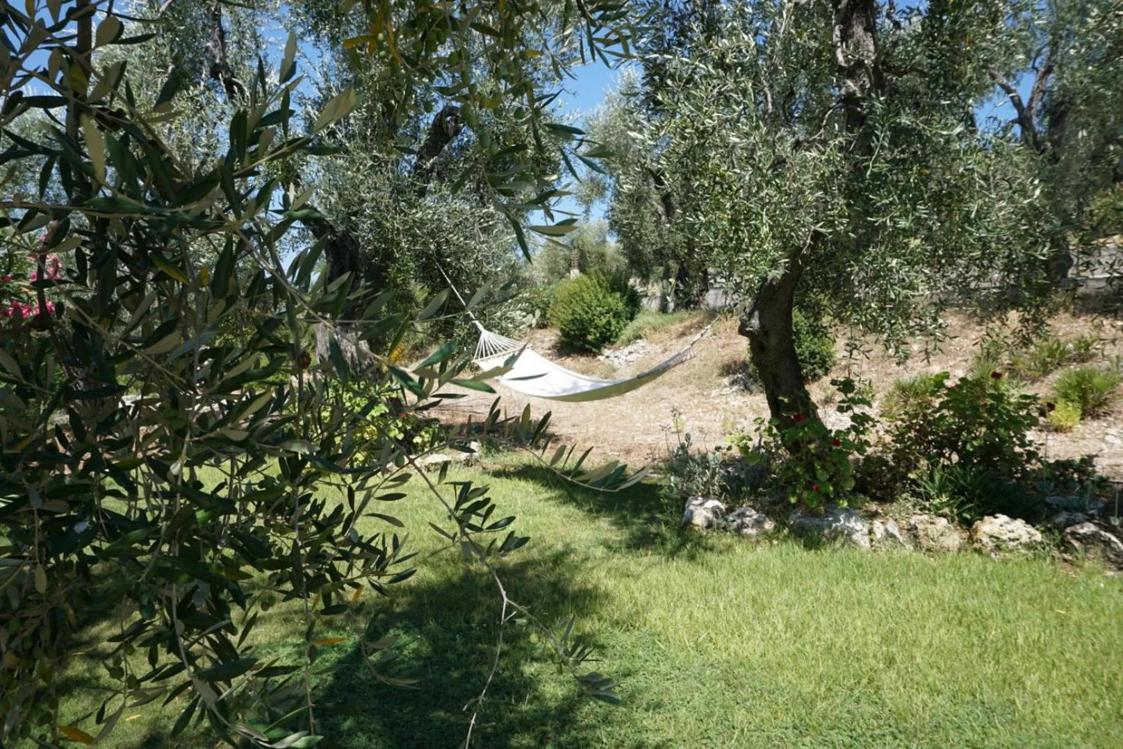 Garden view in Residence Valleverde