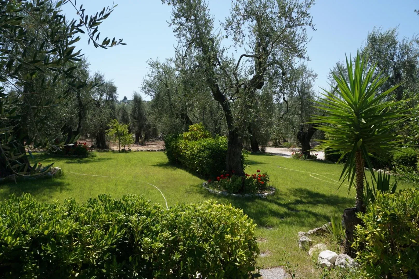 Spring in Residence Valleverde