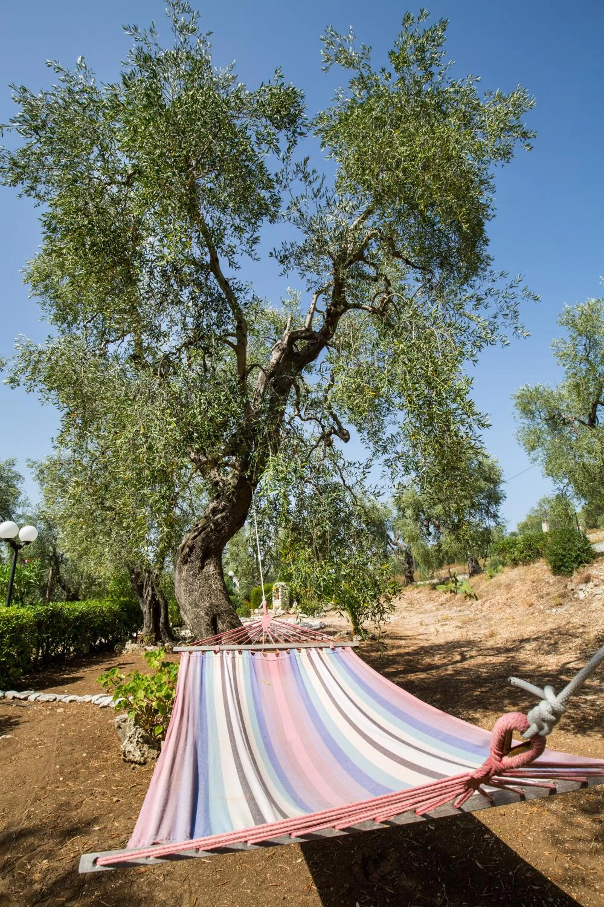 Day in Residence Valleverde