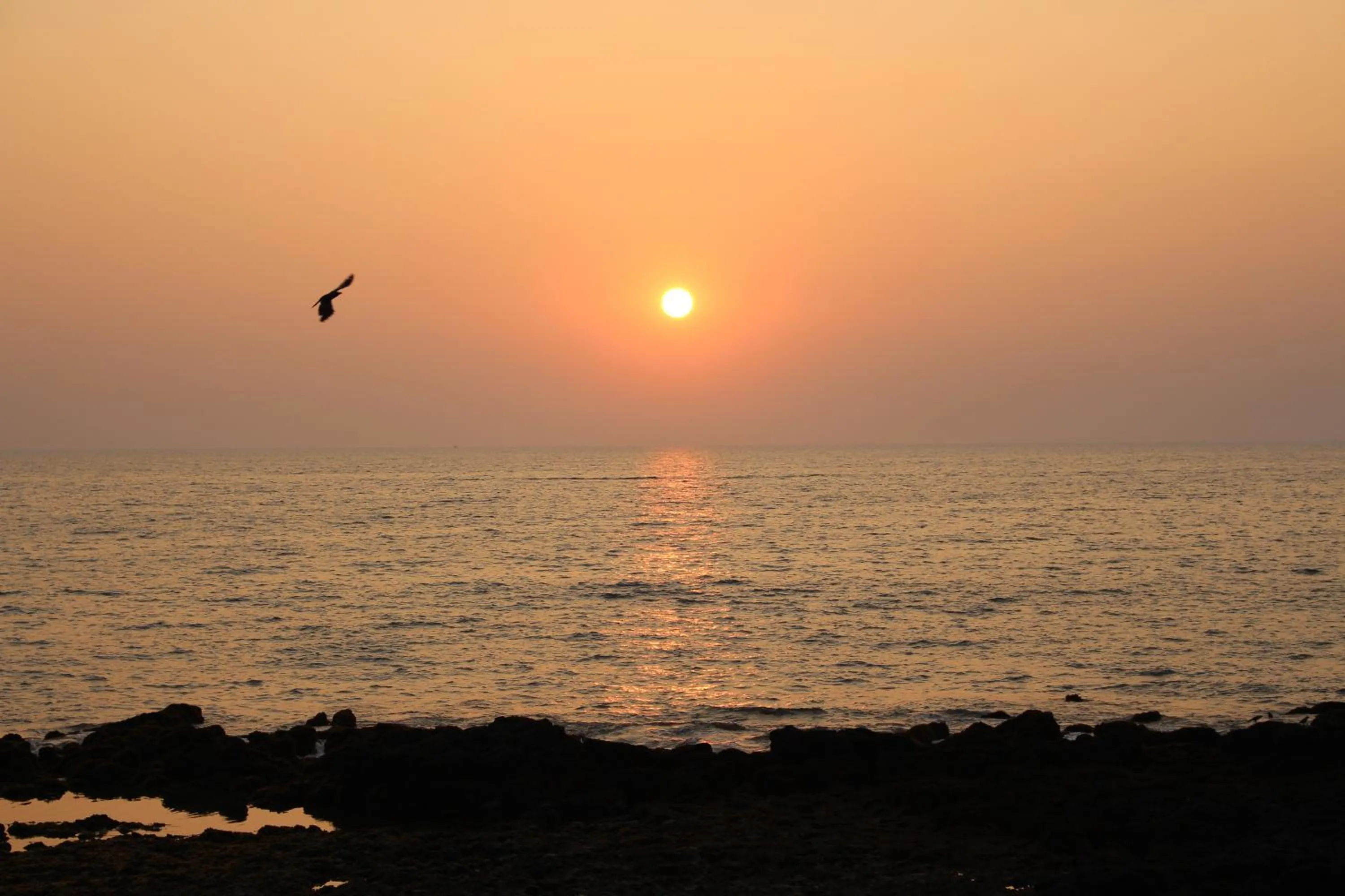 Beach in Maria Paulo Guest House Bar and Restaurant