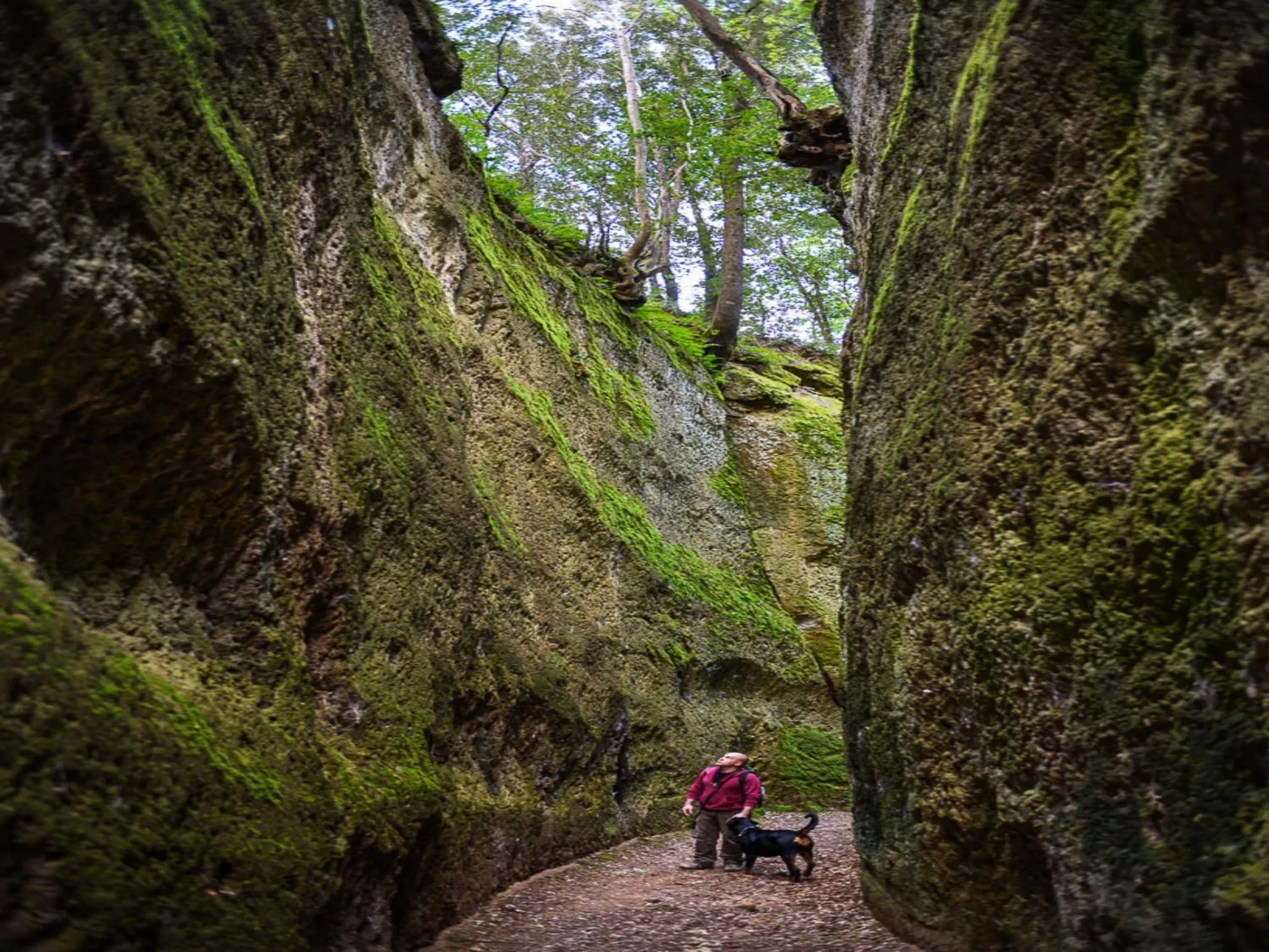 Hiking in Terme Di Sorano Resort