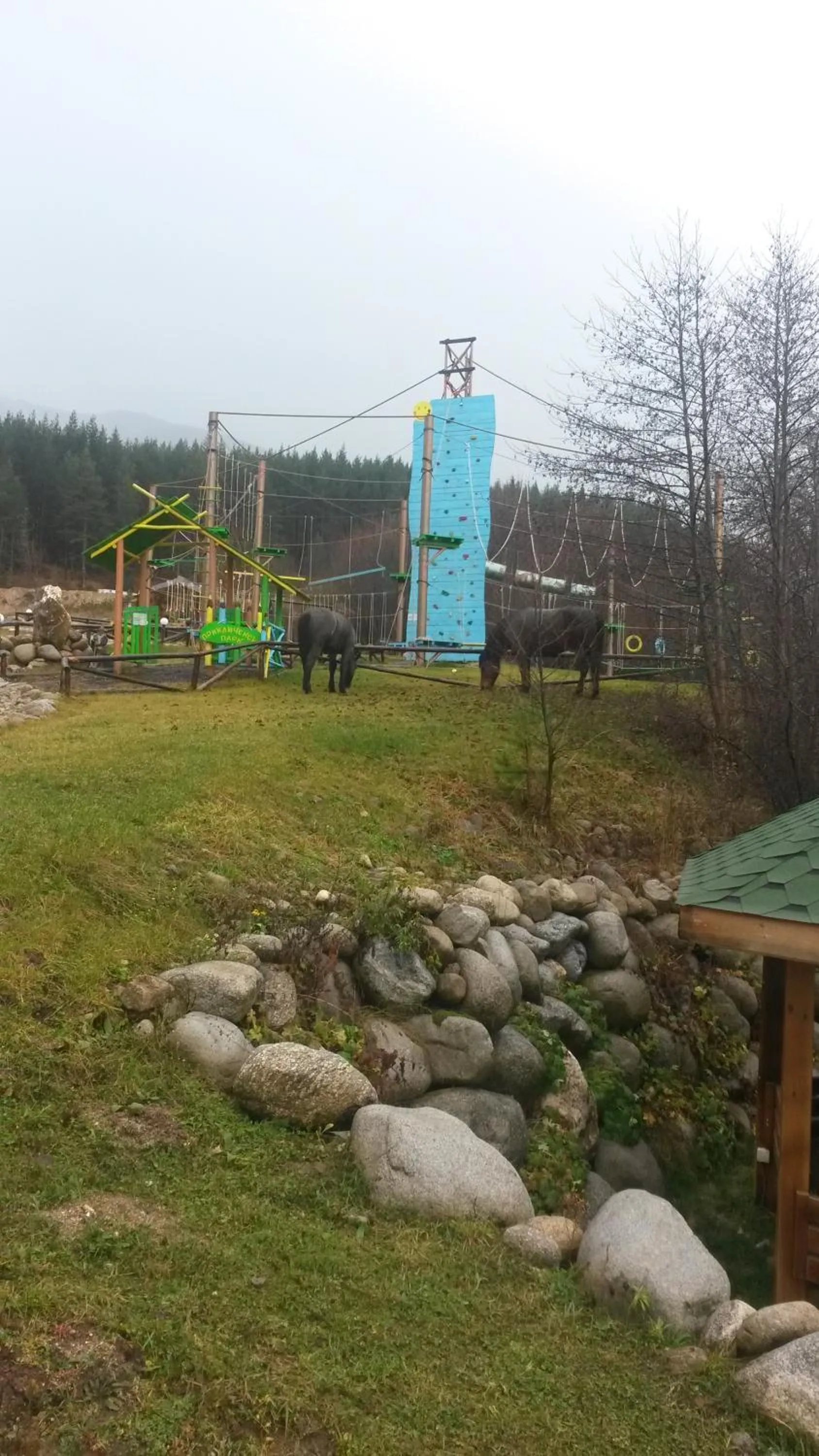 Sports in Paradiso Verde (Green Life)