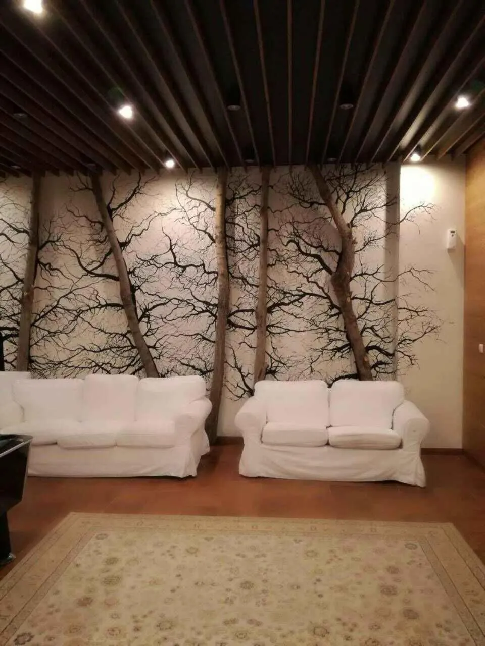 Game Room in Paradiso Verde (Green Life)