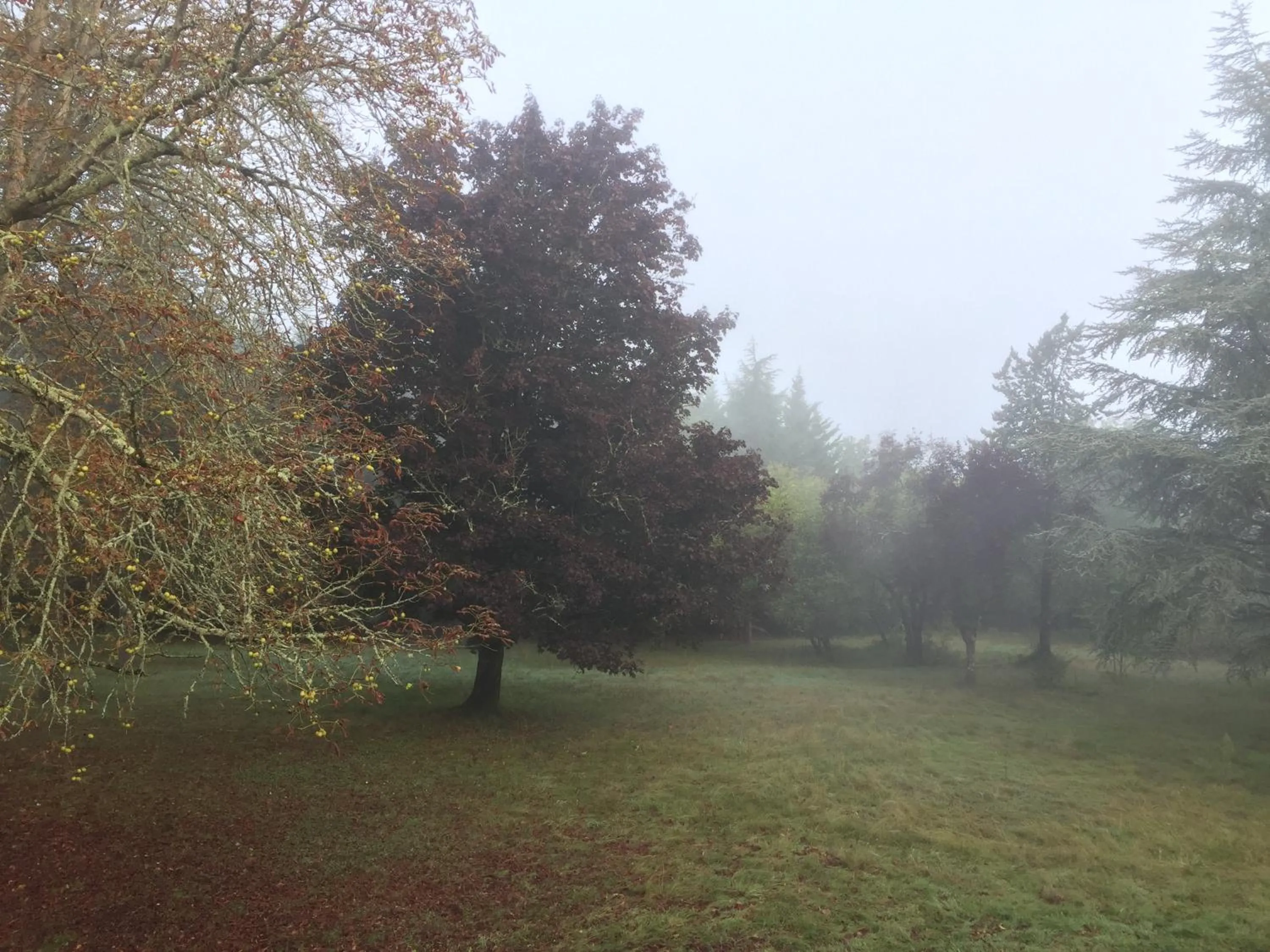 Garden view in La Jagée