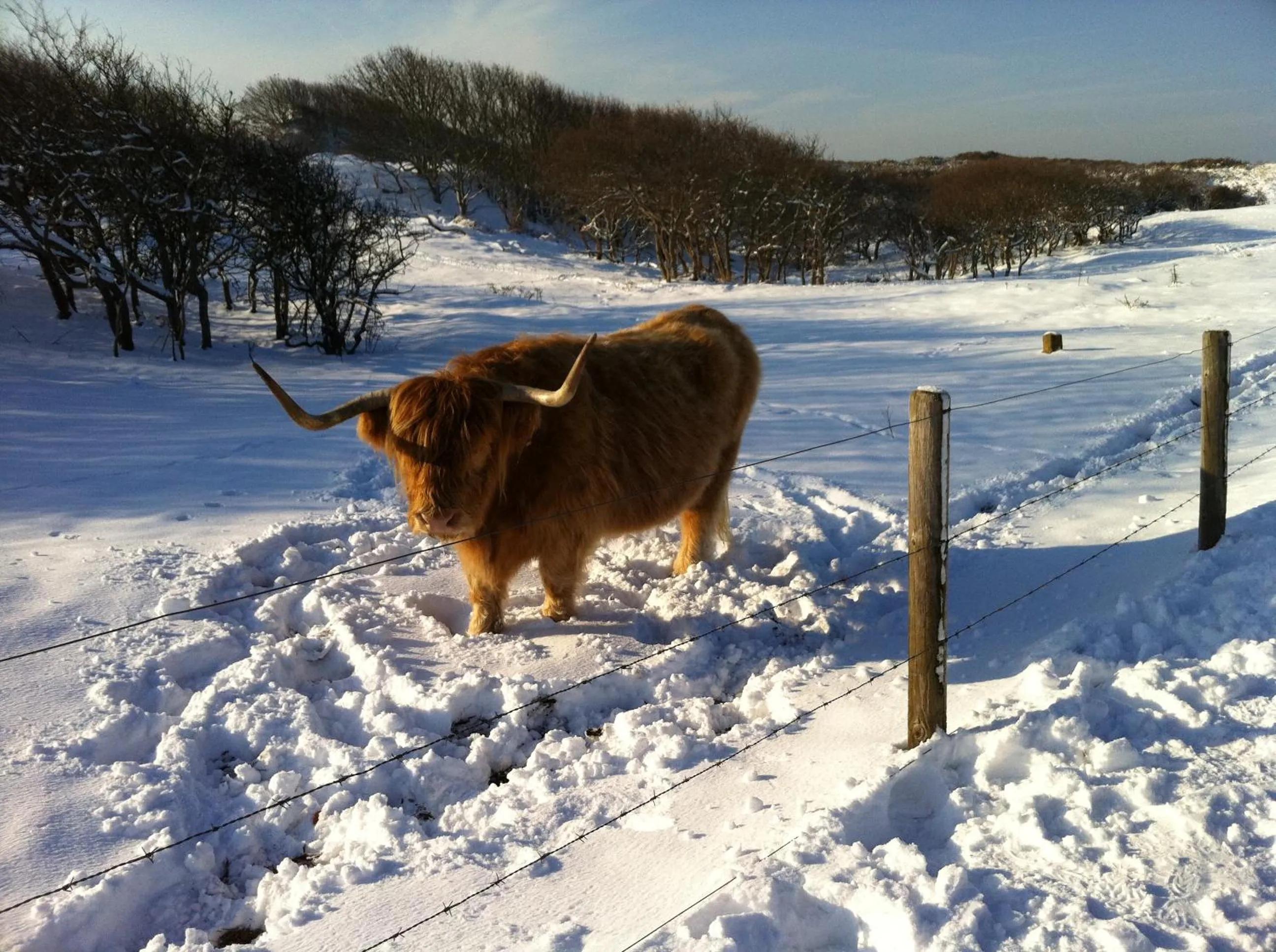 Nearby landmark in Strandhotel Dennenbos