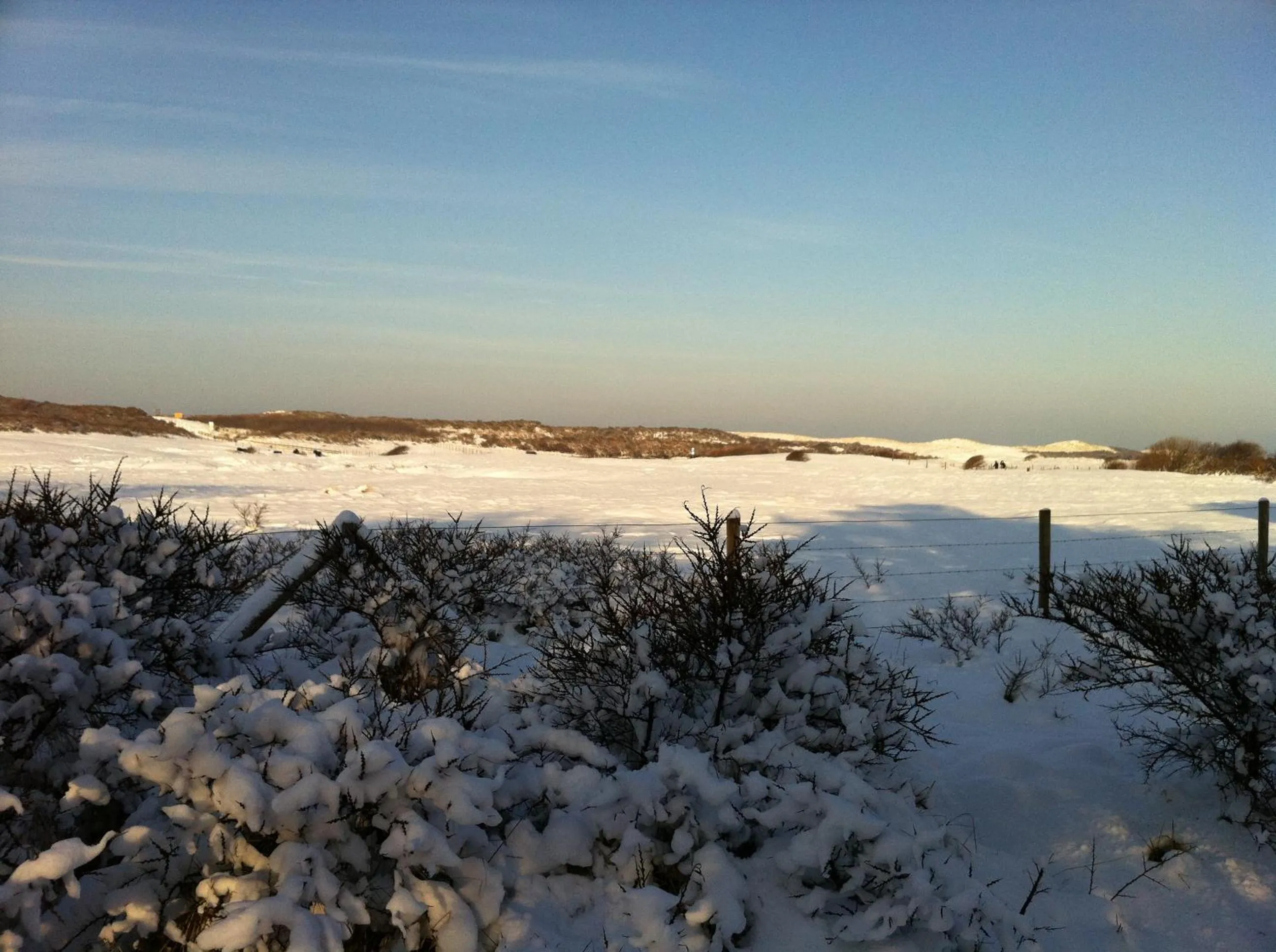 Natural landscape in Strandhotel Dennenbos