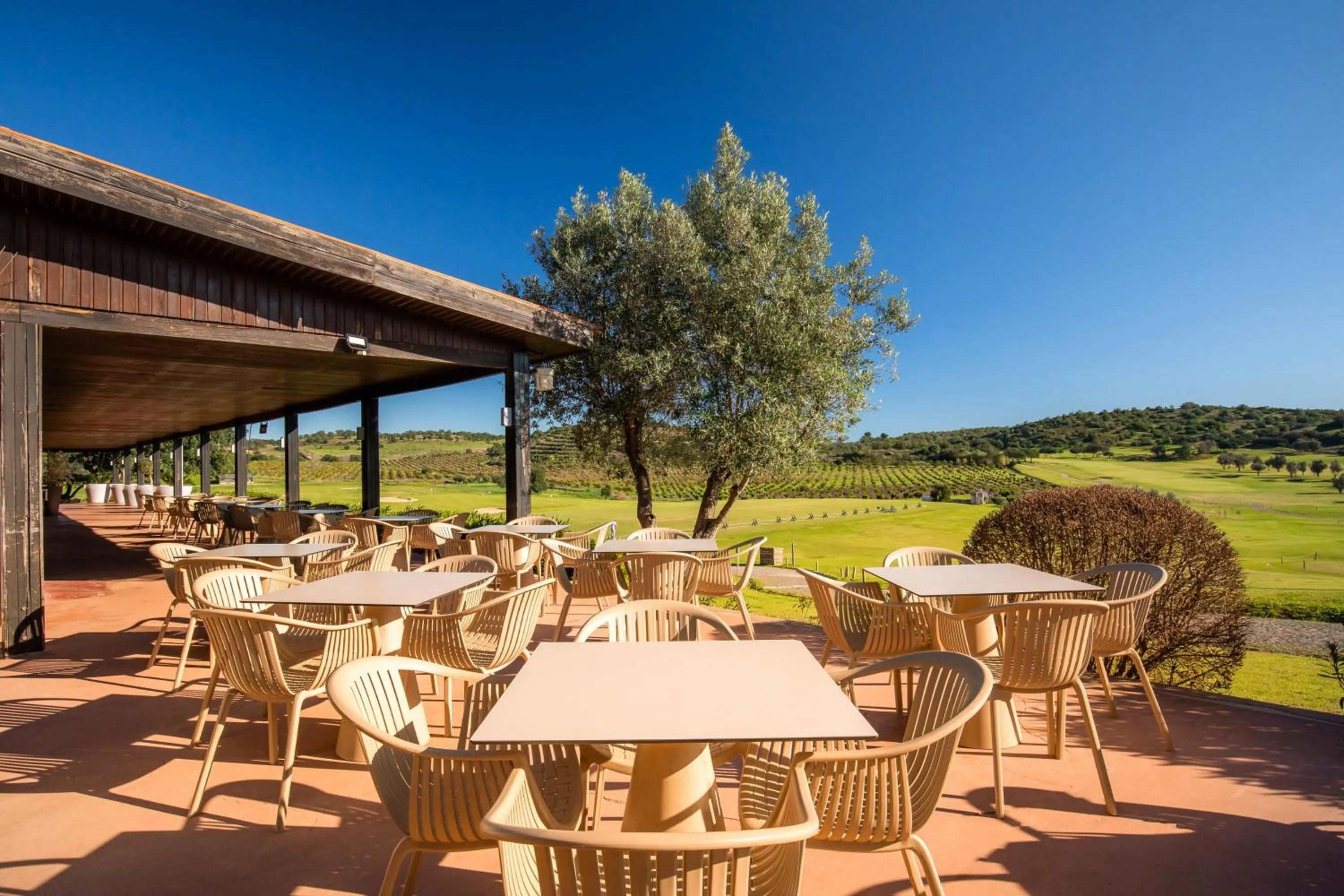Restaurant/places to eat in NAU Morgado Golf & Country Club