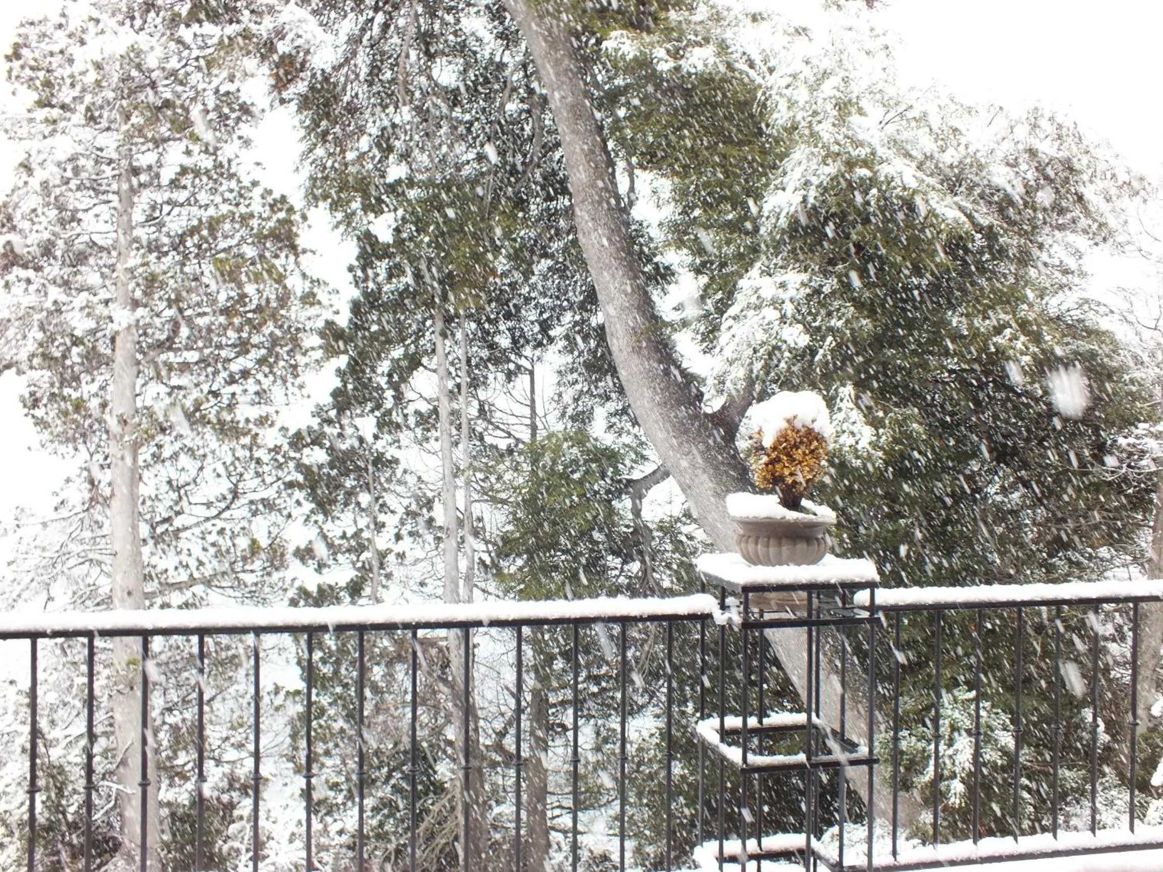 Balcony/Terrace in Luma Casa De Montaña