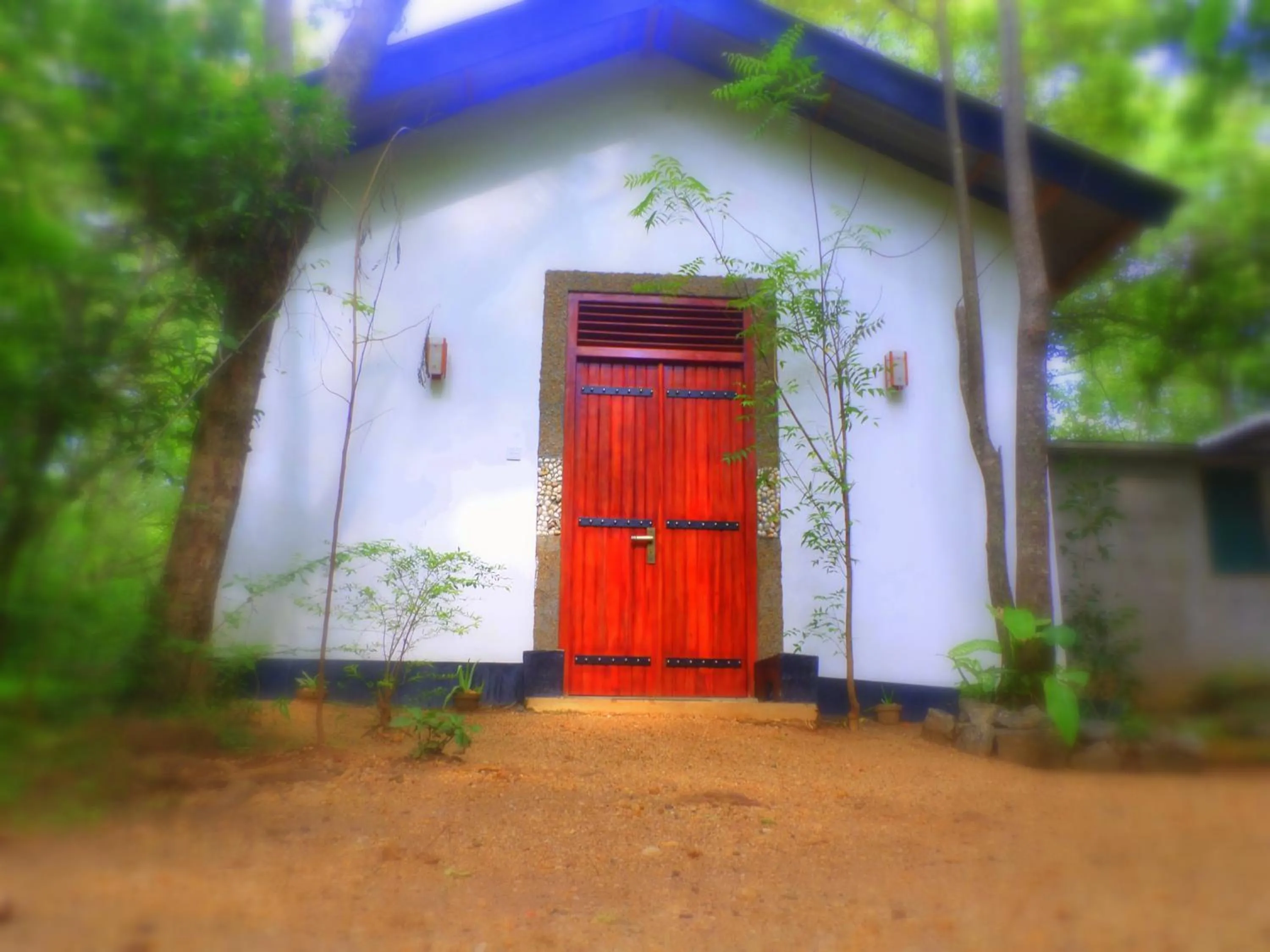 Grand freedom
