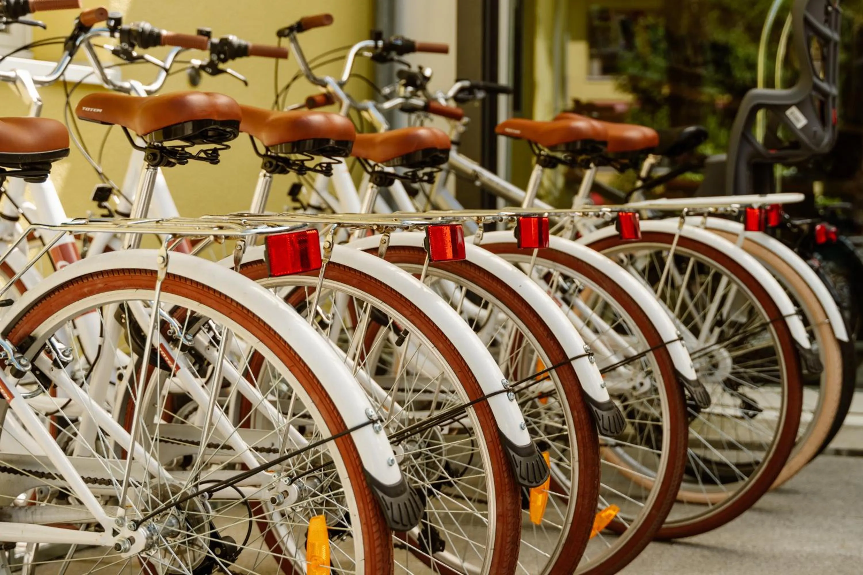 Cycling in Parkhotel Emmaus - Casa del Sole