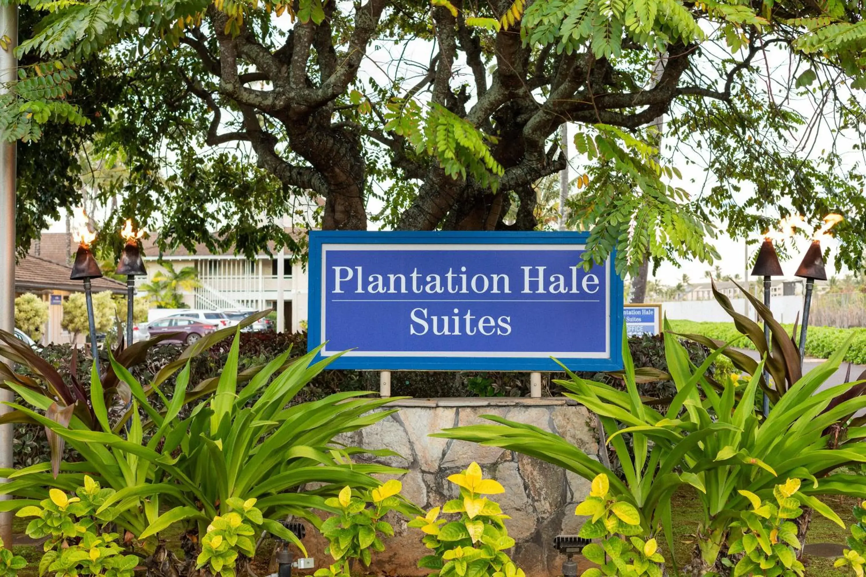 Property building in Plantation Hale Suites Property building in Plantation Hale Suites