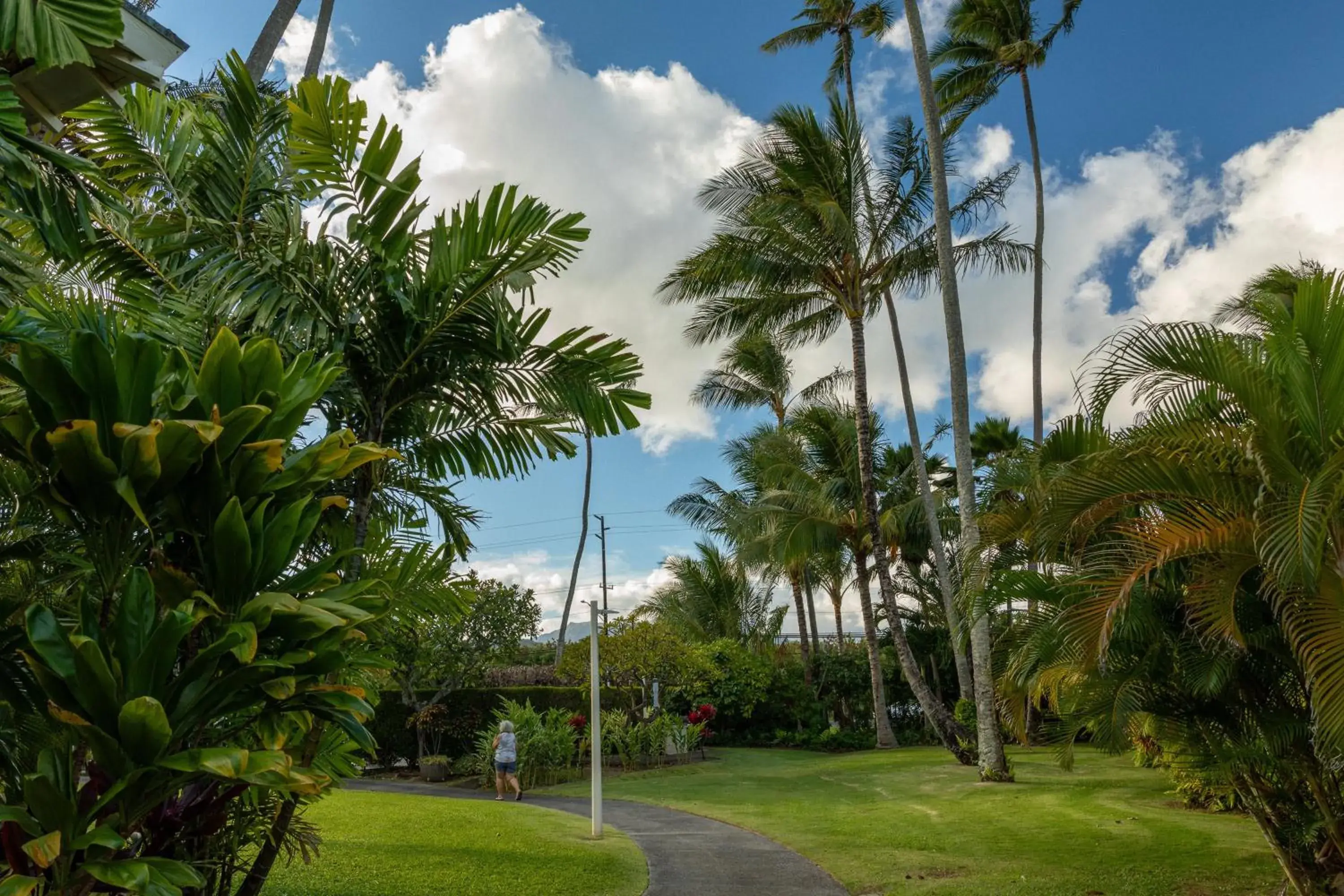 Property building in Plantation Hale Suites Property building in Plantation Hale Suites